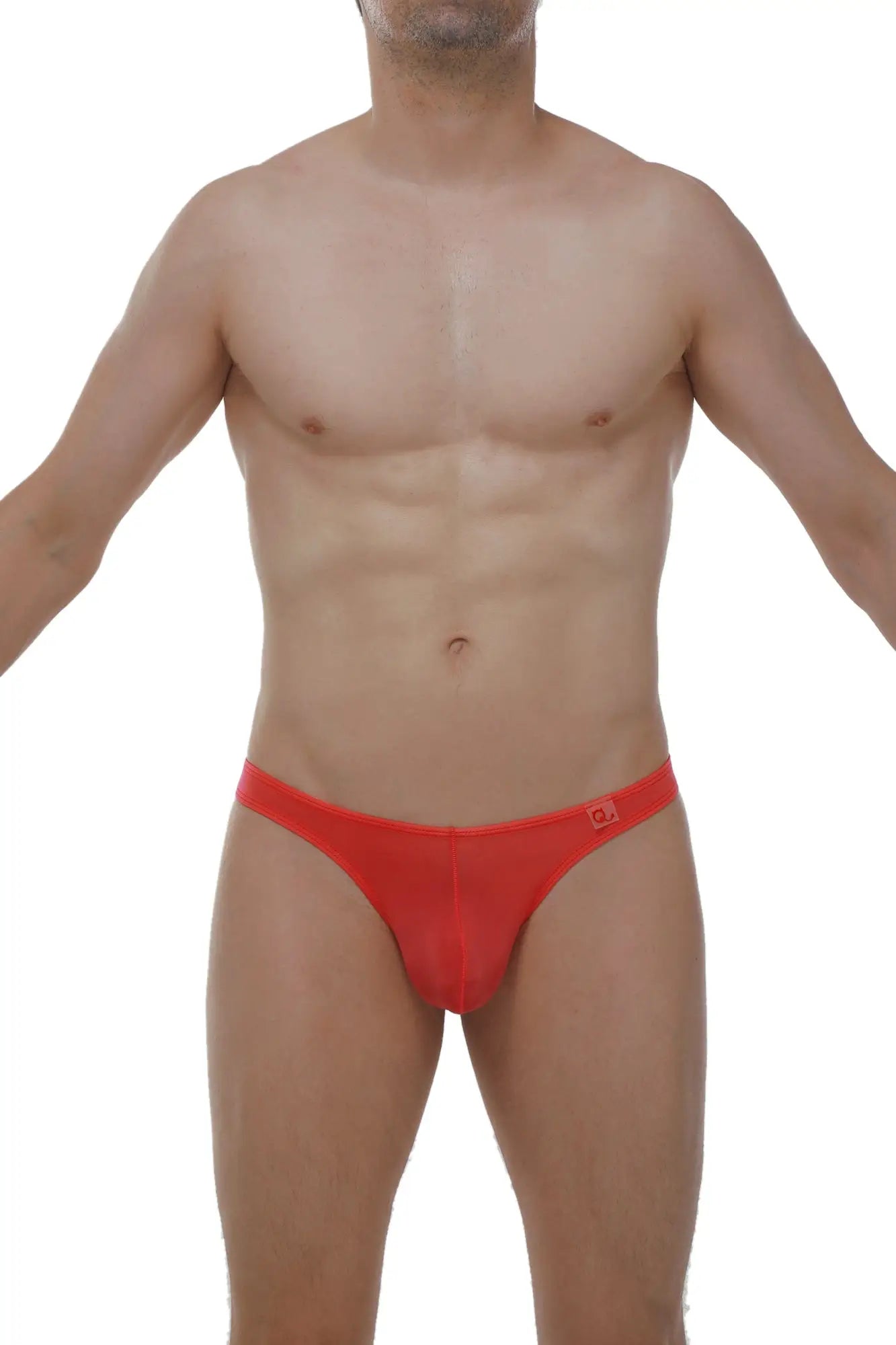 Red form-fitting men’s briefs with a subtle logo waistband from the thong lasso cockring plum crimson collection