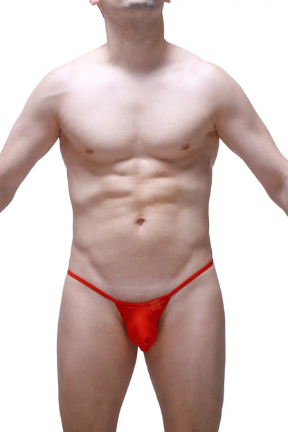 Thong Migny Plum Red sheer red mesh thong with a sleek minimalist design shown from the back side