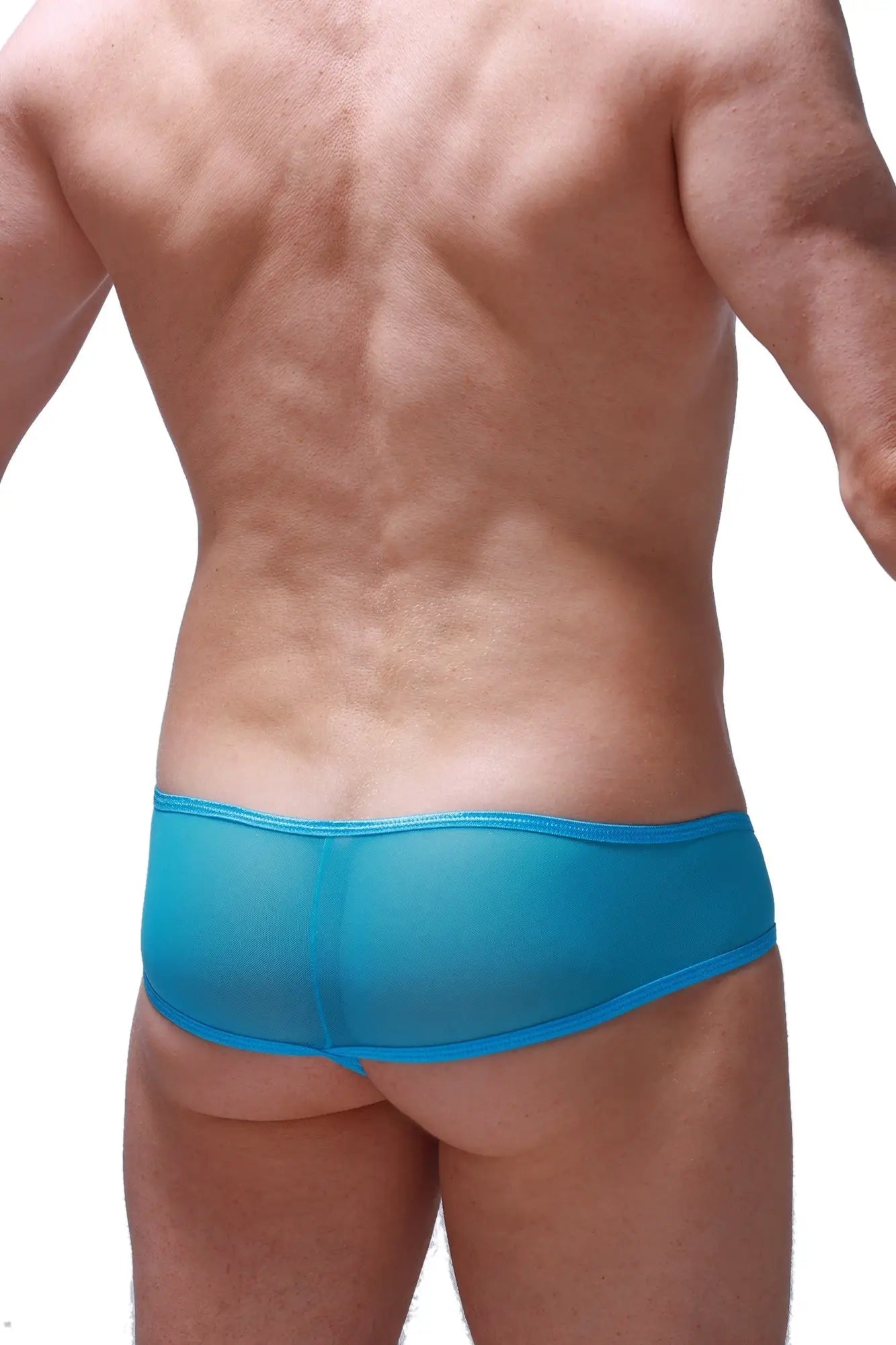 Thong Toga net maya blue translucent turquoise blue mesh brief with solid matching waistband front view
