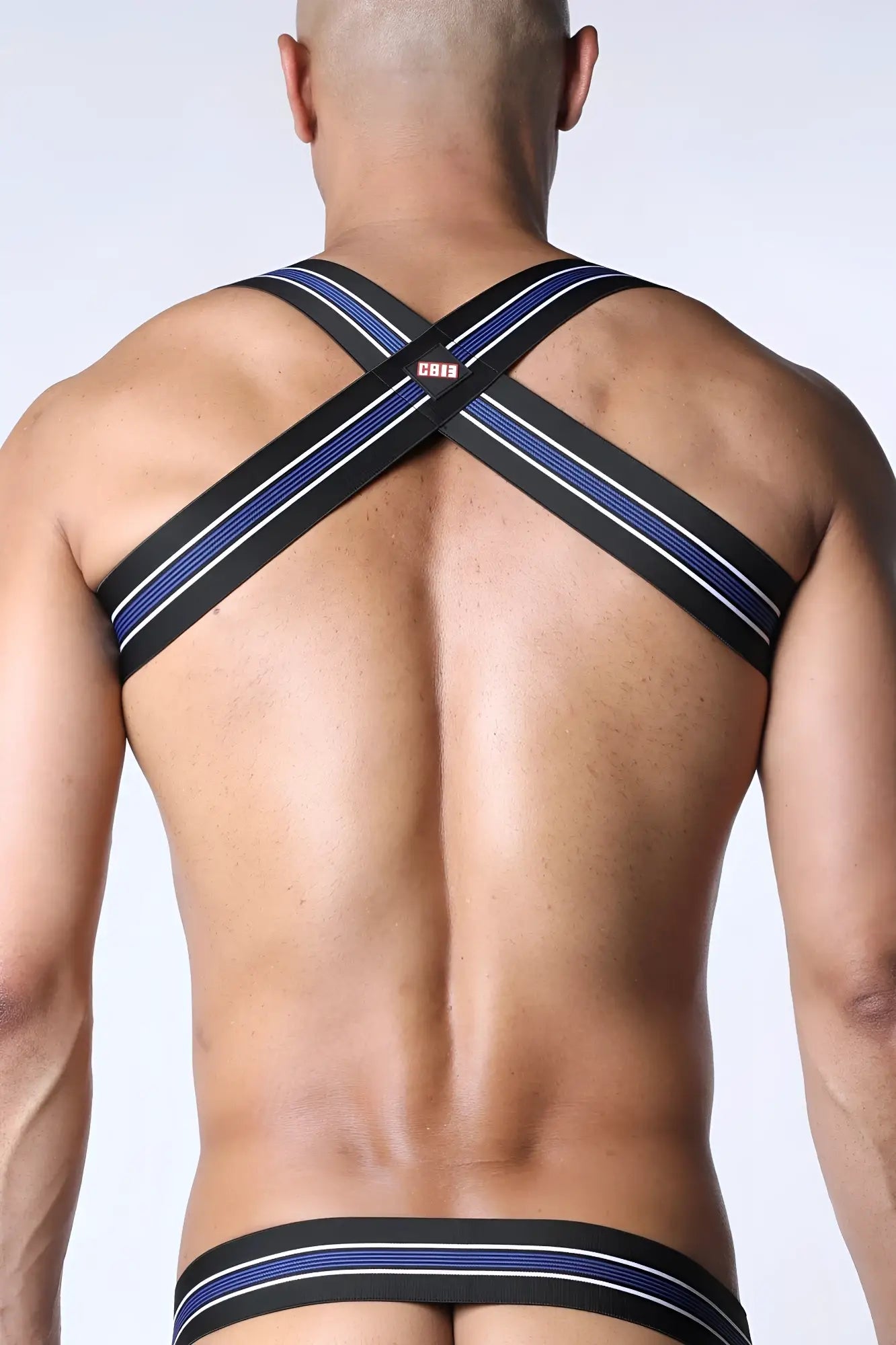 Tighty end elastic harness with black and blue stripes white trim cross-back design and small red cb12 logo front view