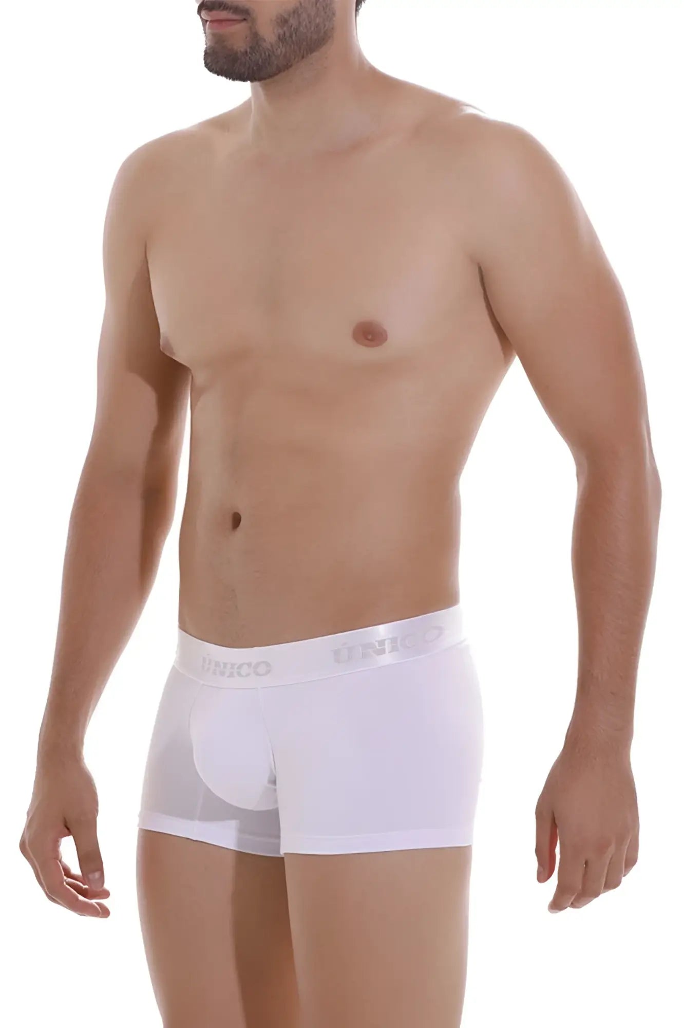White men’s boxer briefs with subtle elastic waistband branded brico in gray unico 22120100101 cristalino a22 trunks white
