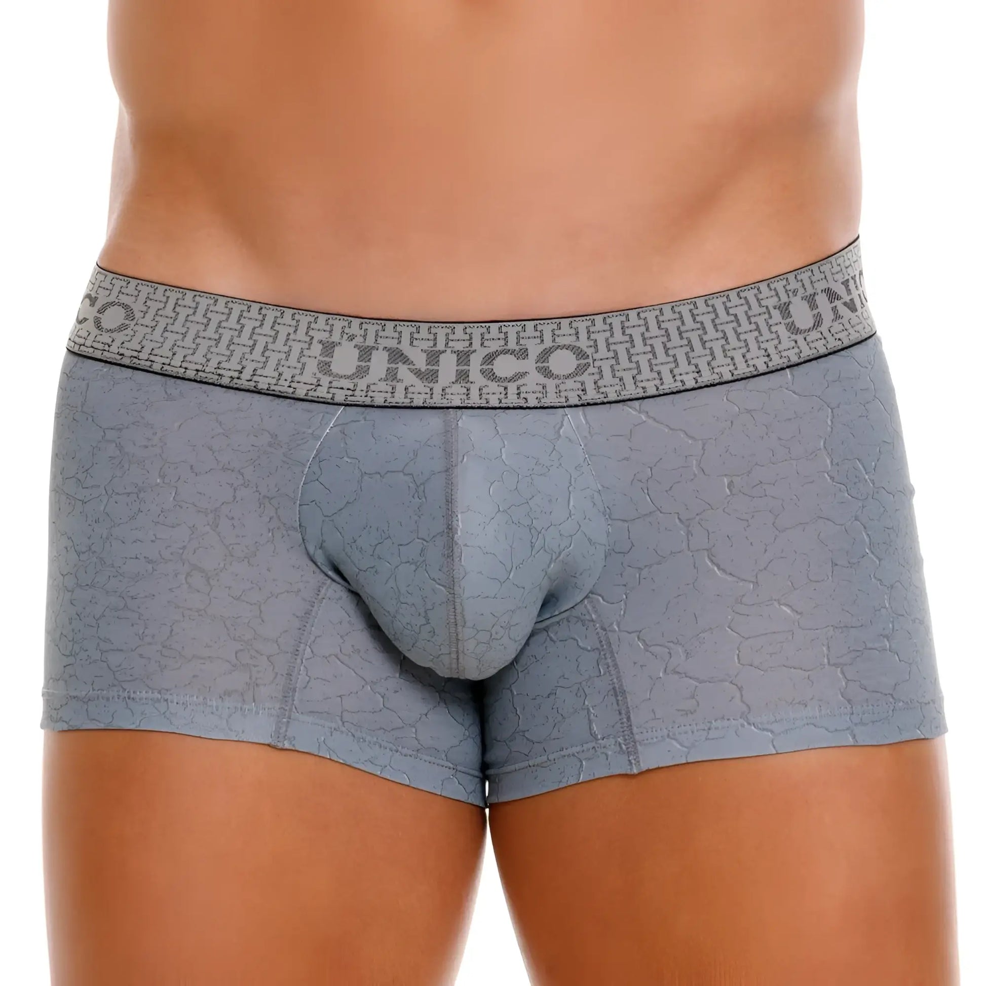 Gray unico 25020100116 baldio trunks boxer briefs with cracked texture and branded waistband in color 59 gray