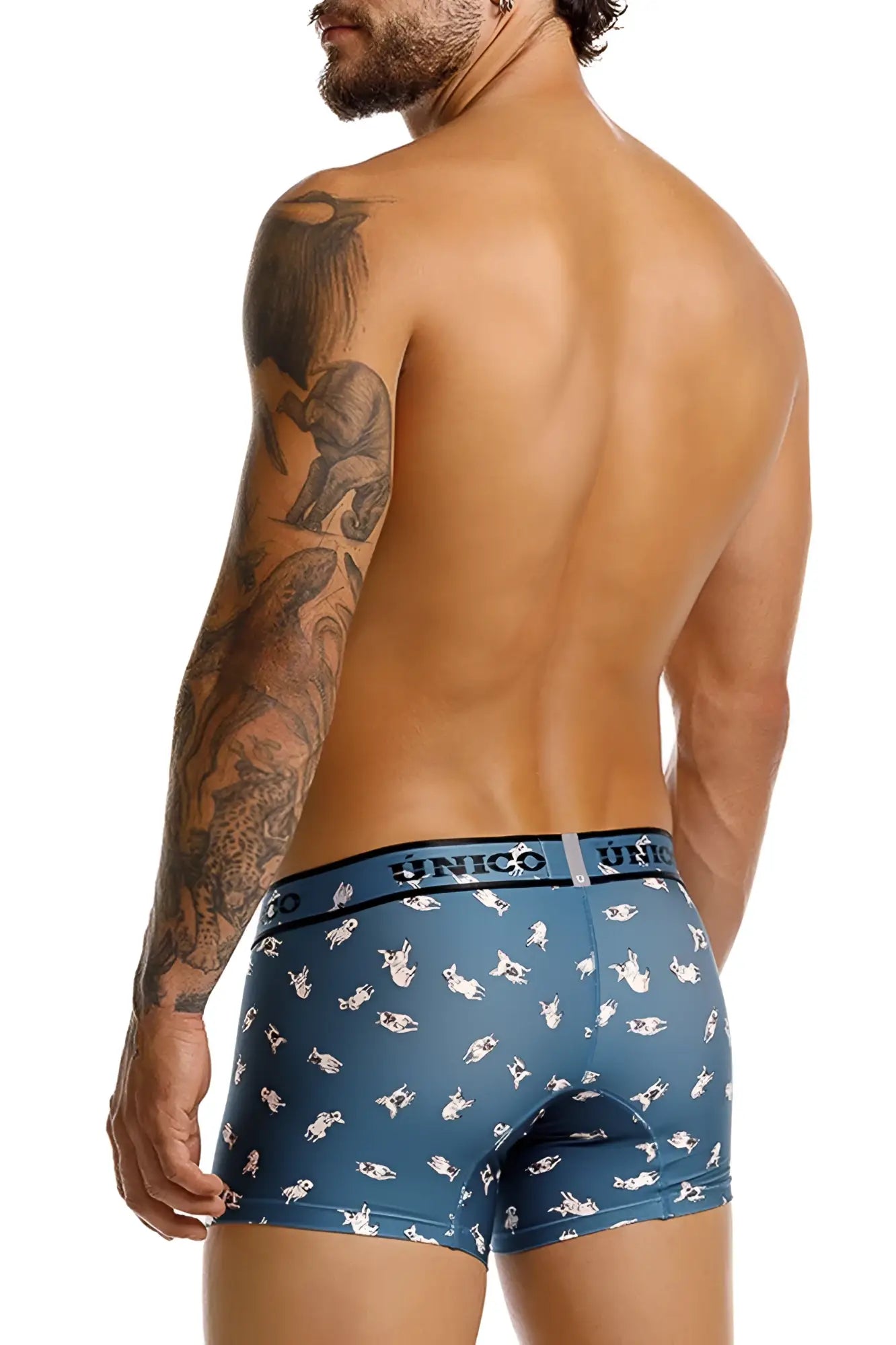 Blue unico boxer briefs with white chihuahua cartoon pattern in color 43-blue designed for comfort and style
