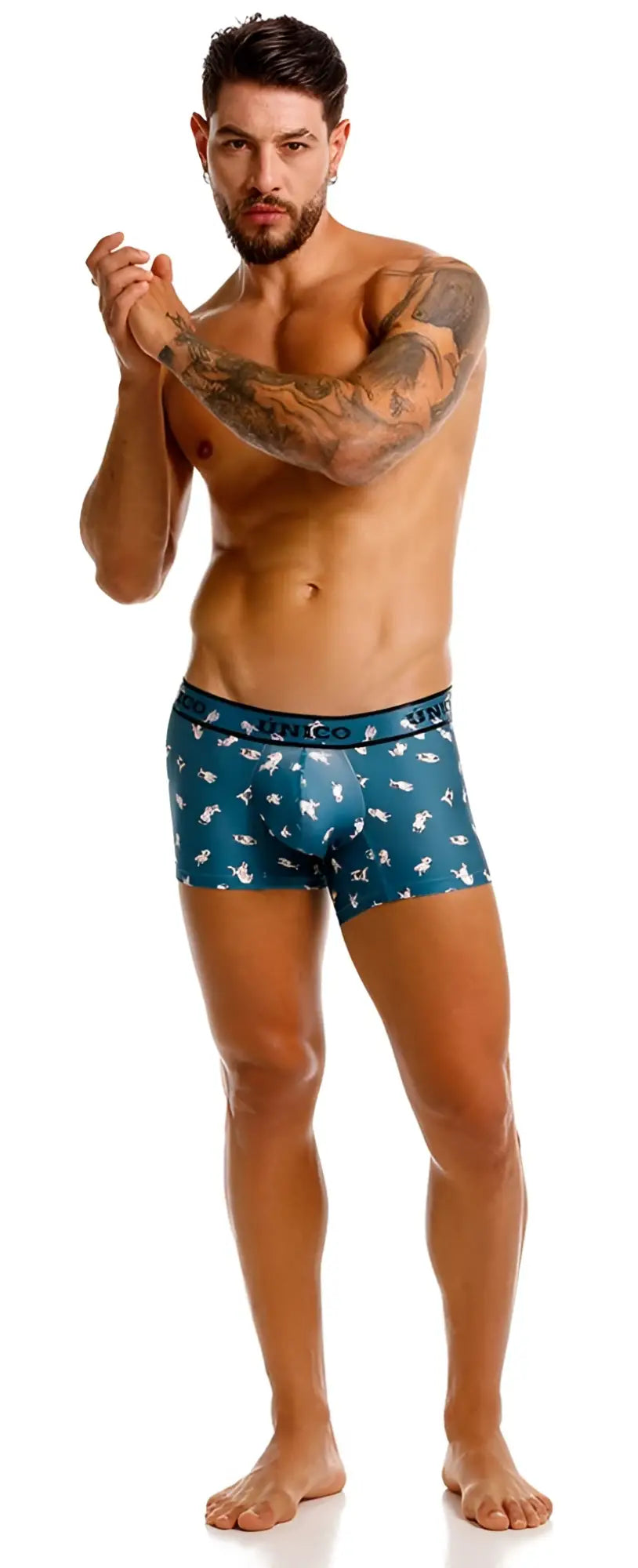 Teal boxer briefs with a white bird pattern and unico brand waistband in color 43-blue chihuahua trunks model 25060100104