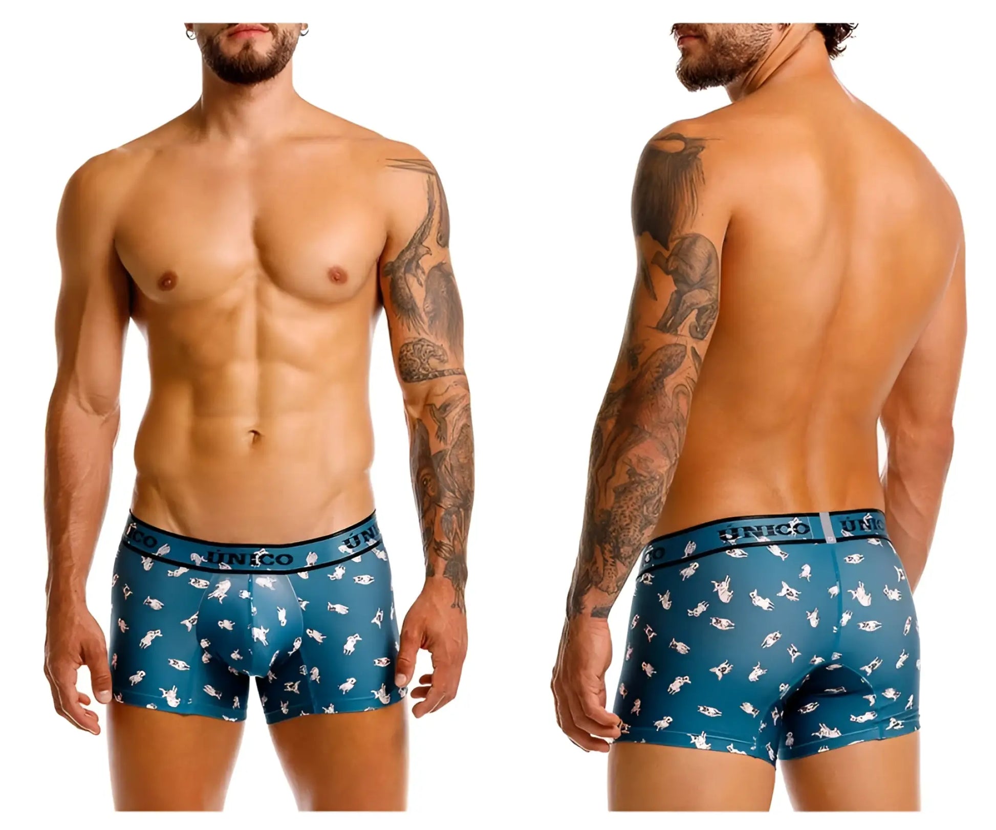 Teal blue Unico 25060100104 Chihuahua boxer briefs with white shark pattern and Unico branded waistband