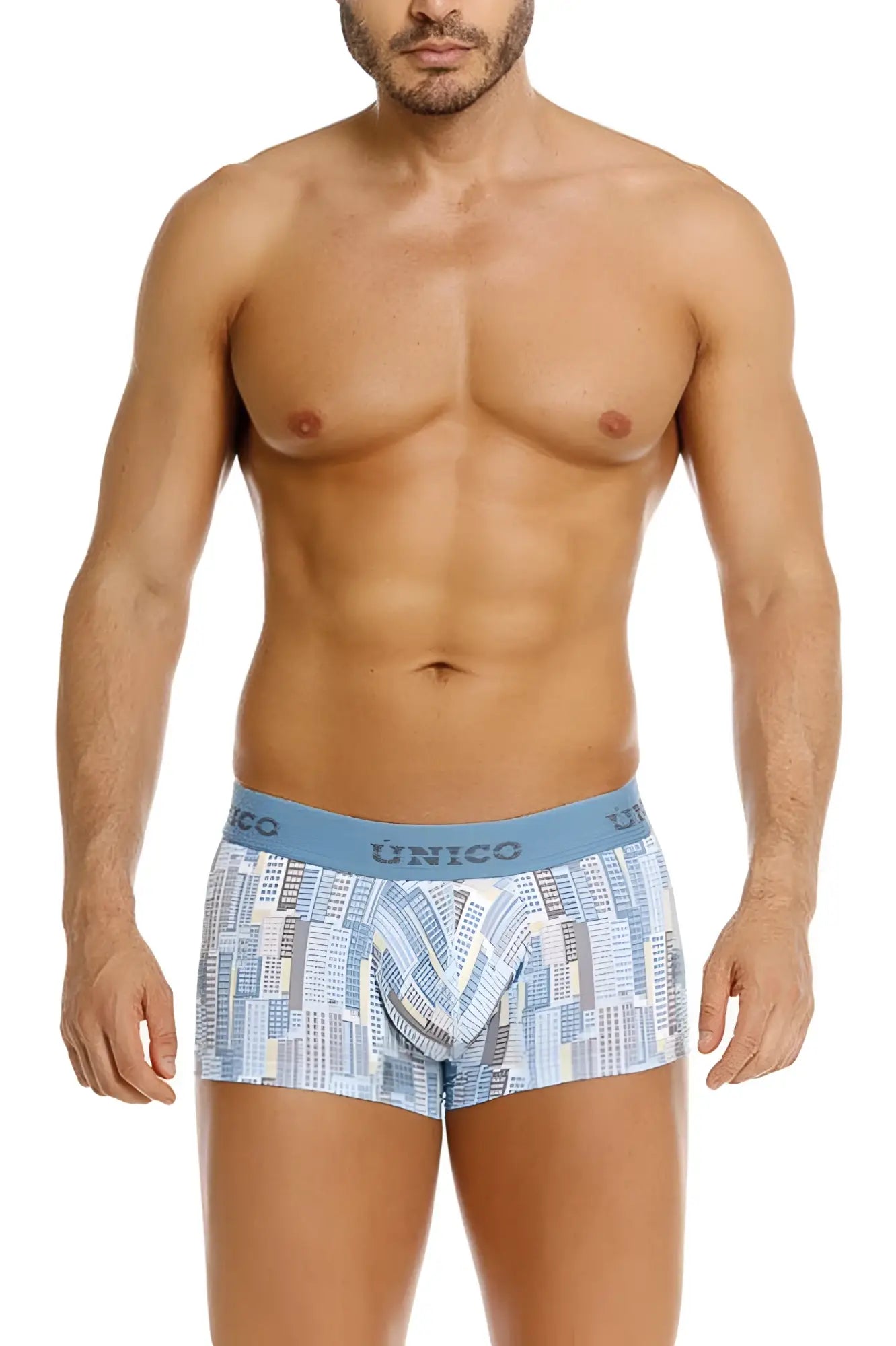 Light blue and white unico 26020100103 ocarina trunks boxer briefs with a cityscape pattern design