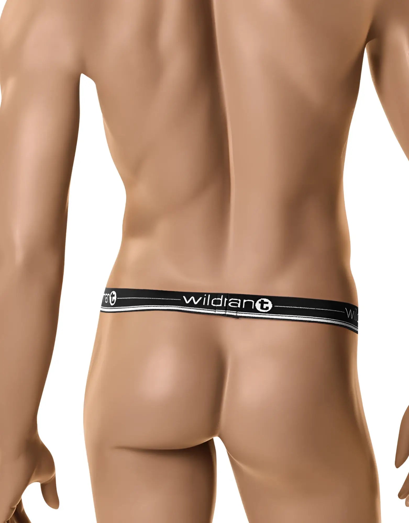 Black elastic waistband with white wildian logo and silver trim on mannequin wearing wildmant the ball lifter black