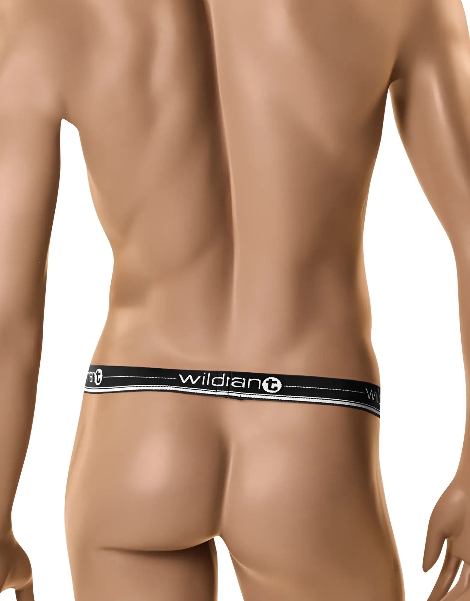 Black elastic waistband with white wildian branding worn by a mannequin on the wildmanT the ball lifter protruder black