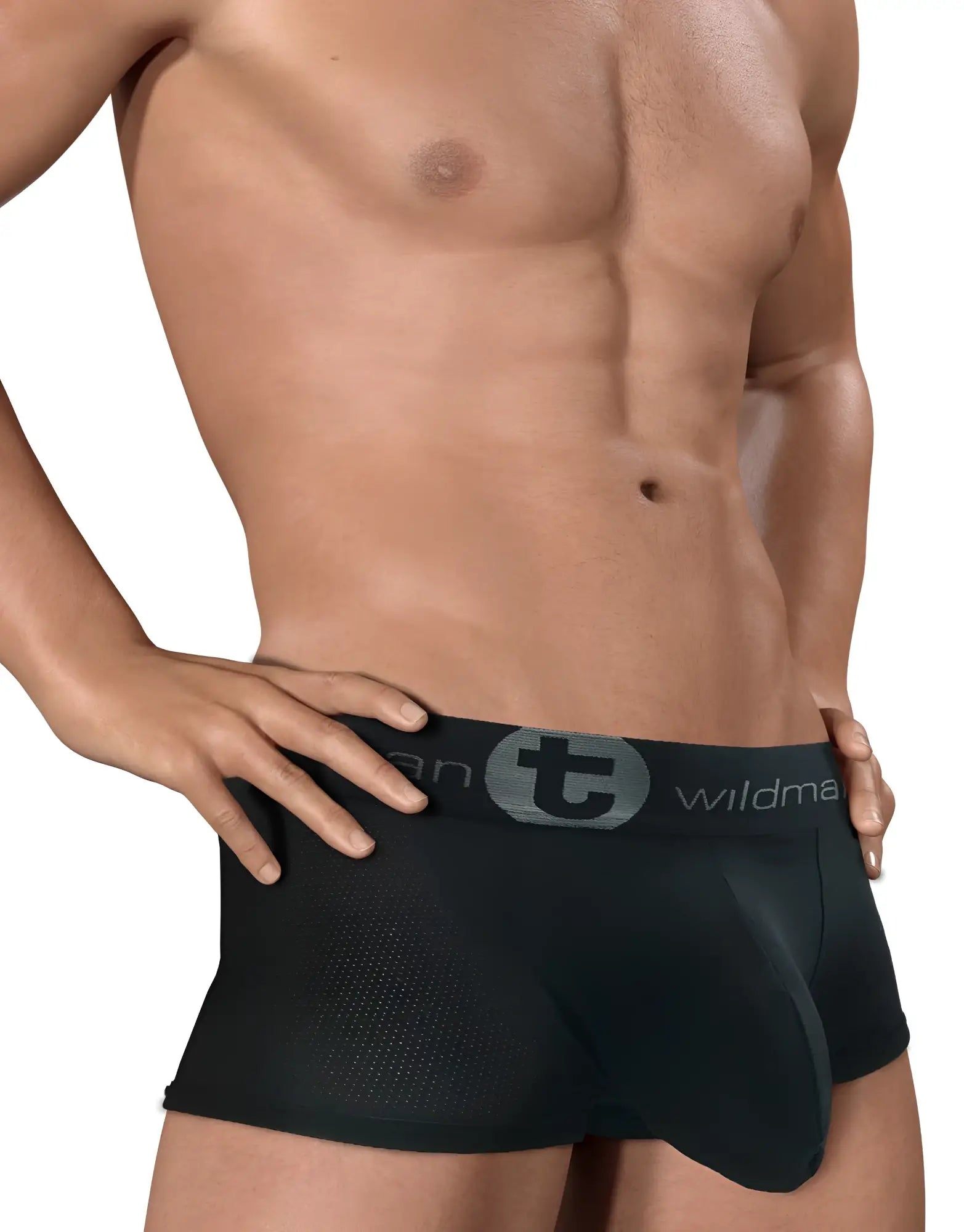 Wildmant big boy mesh pouch boxer brief black with breathable textured fabric and branded elastic waistband visible