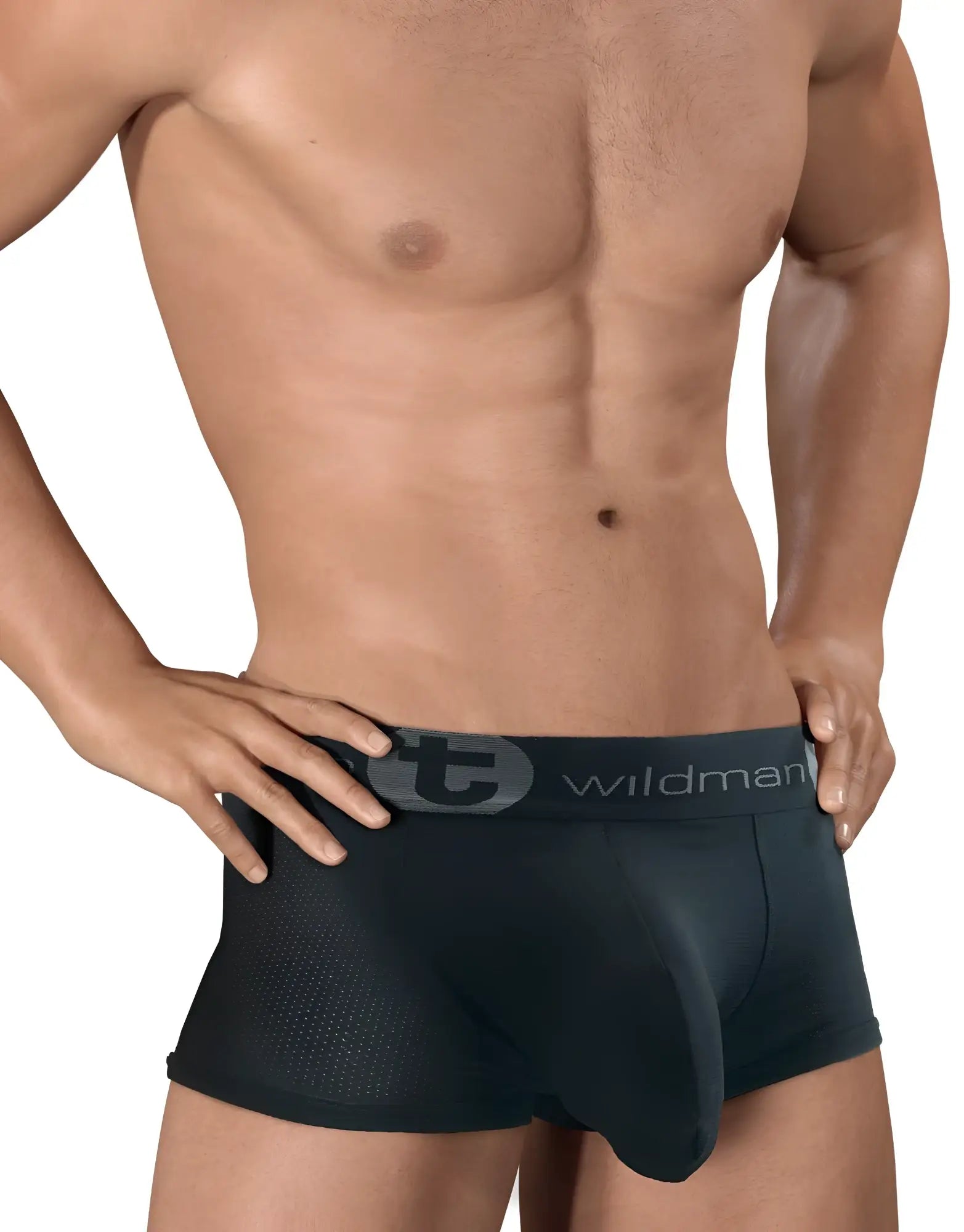 Wildmant big boy mesh pouch boxer brief black with black mesh texture and gray elastic waistband featuring wildman logo