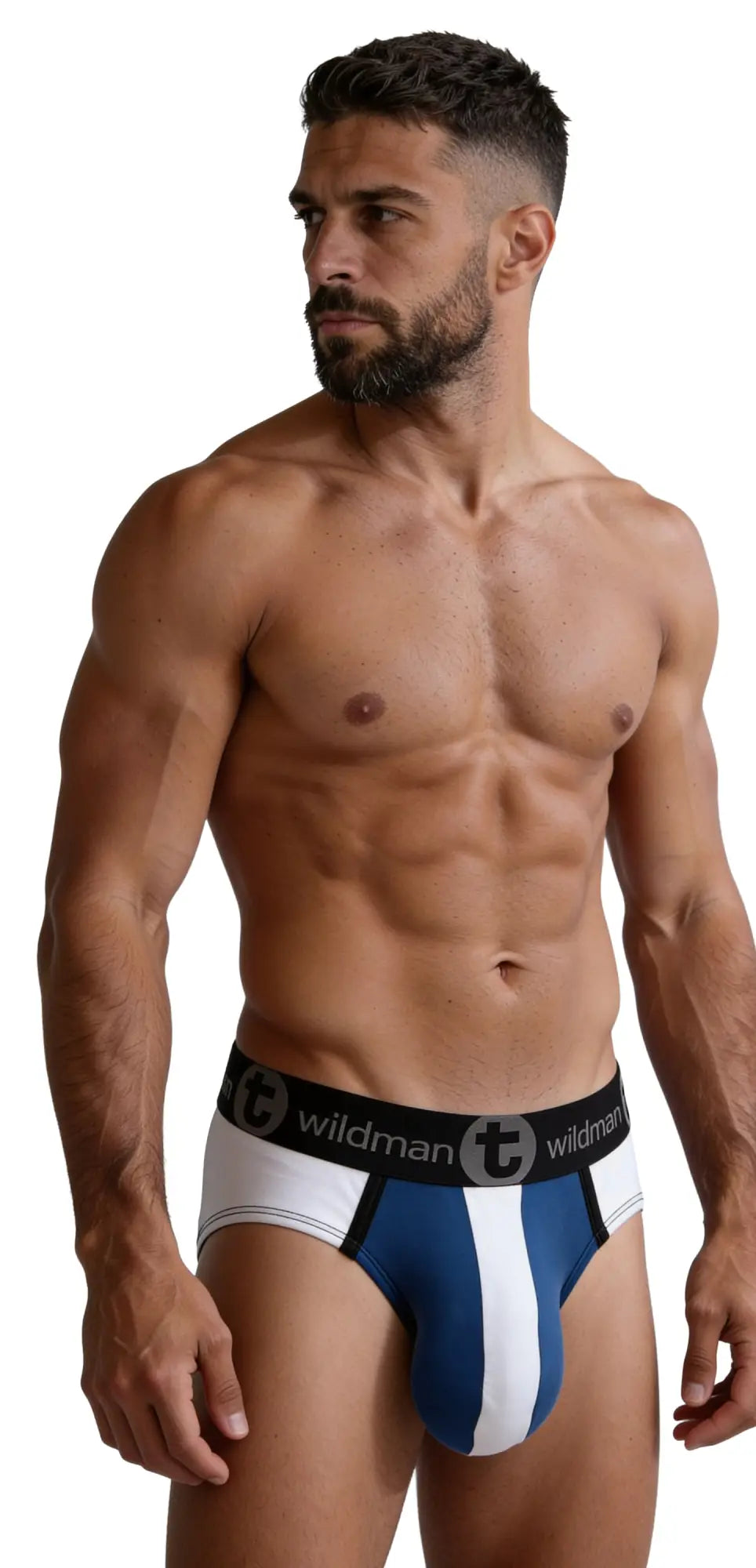 A muscular man wearing a Big Boy pouch brief with a blue and white striped front and black Wildman logo waistband.