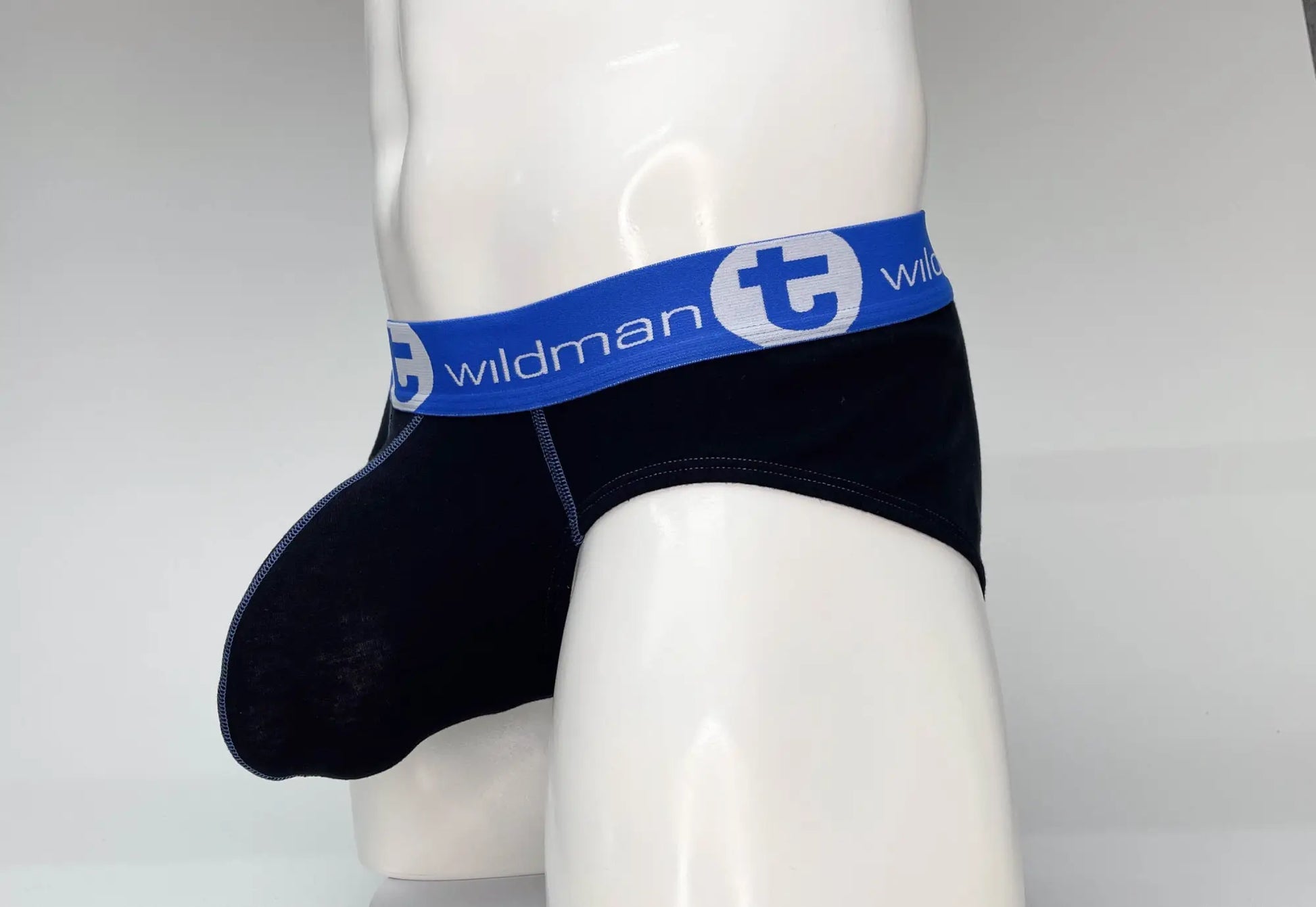 Wildmant big boy pouch cotton briefs in black with blue elastic waistband featuring t logo and text