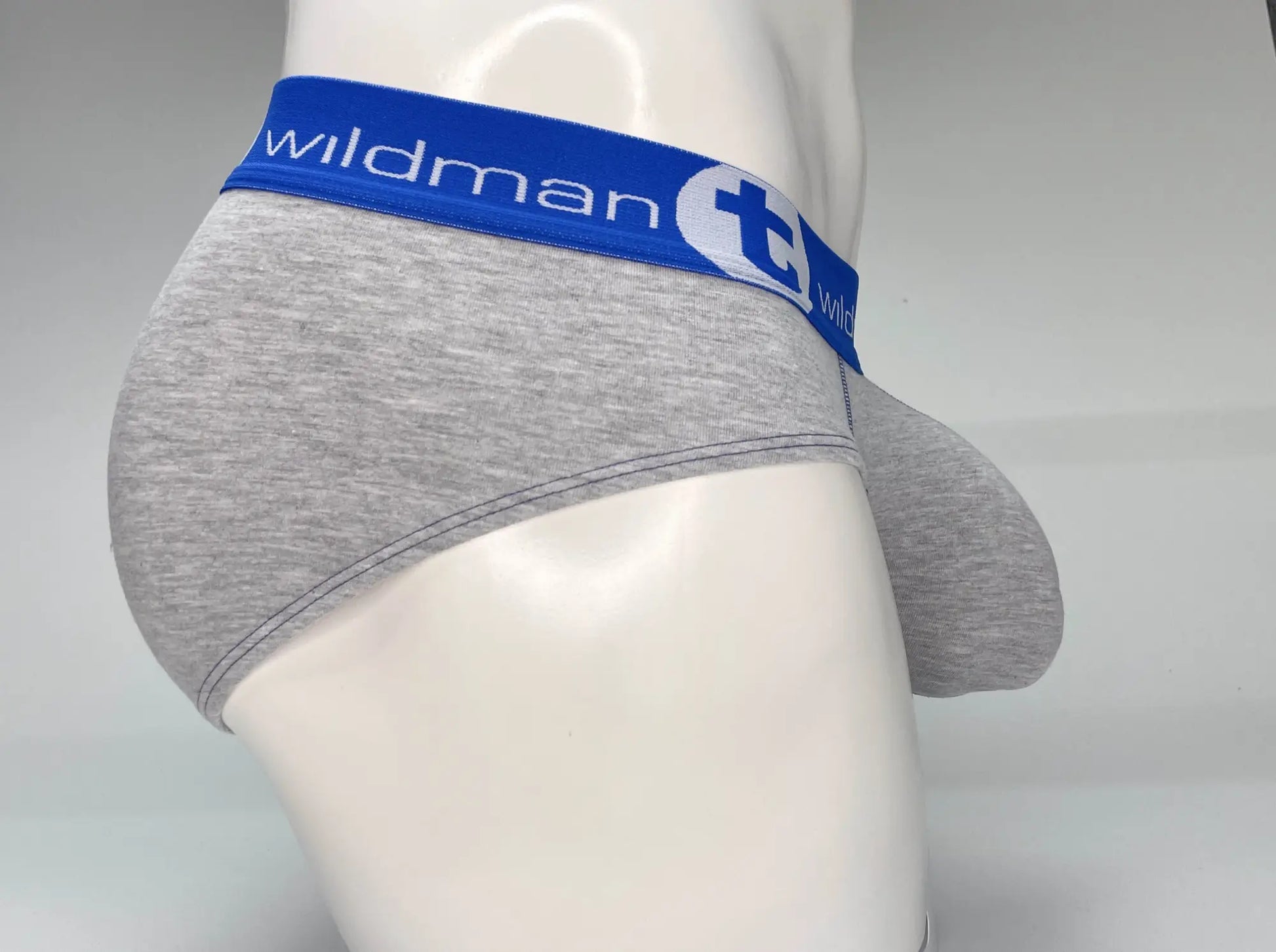 Wildmant big boy pouch cotton briefs in gray heather with blue elastic waistband and white circular emblem