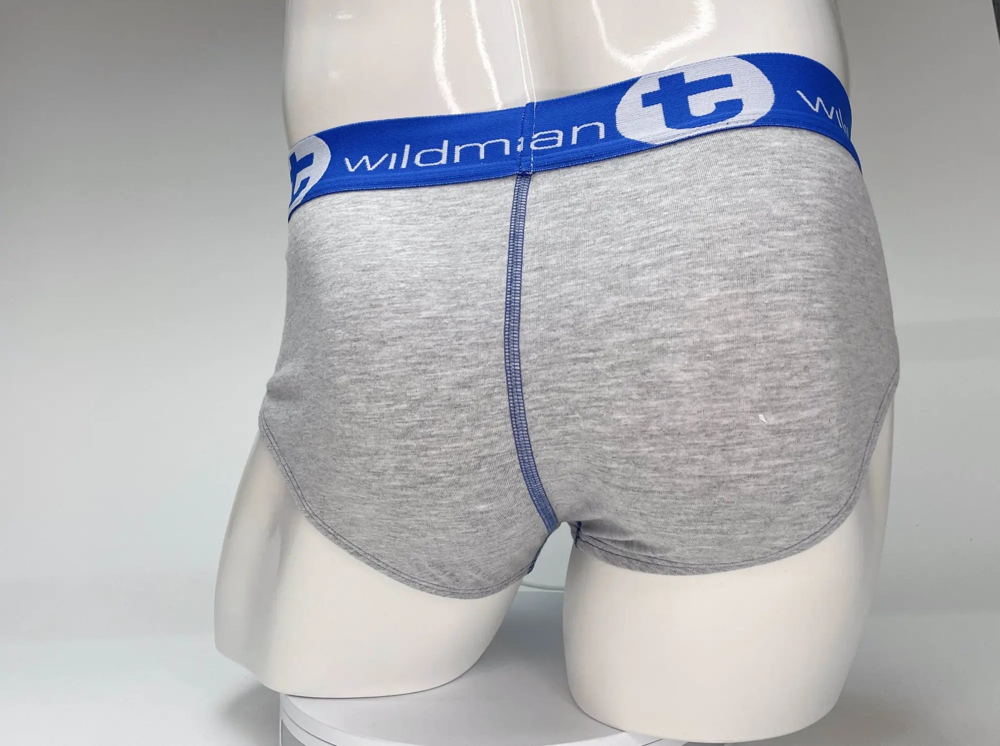 Gray heathered cotton briefs with blue elastic waistband featuring wildman brand logo for big boy pouch support
