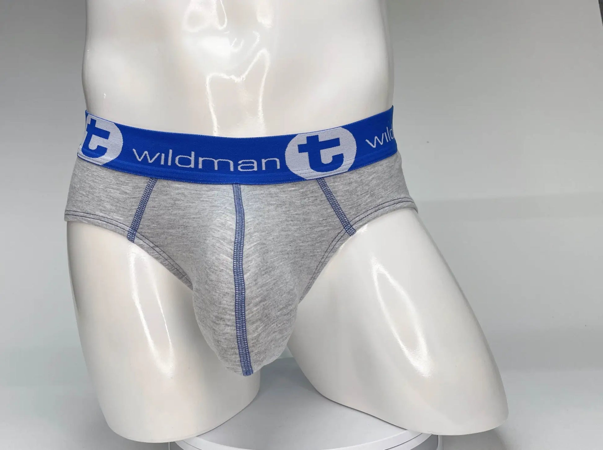 Gray heathered cotton briefs with blue elastic waistband featuring wildman logo and circular t emblem front view