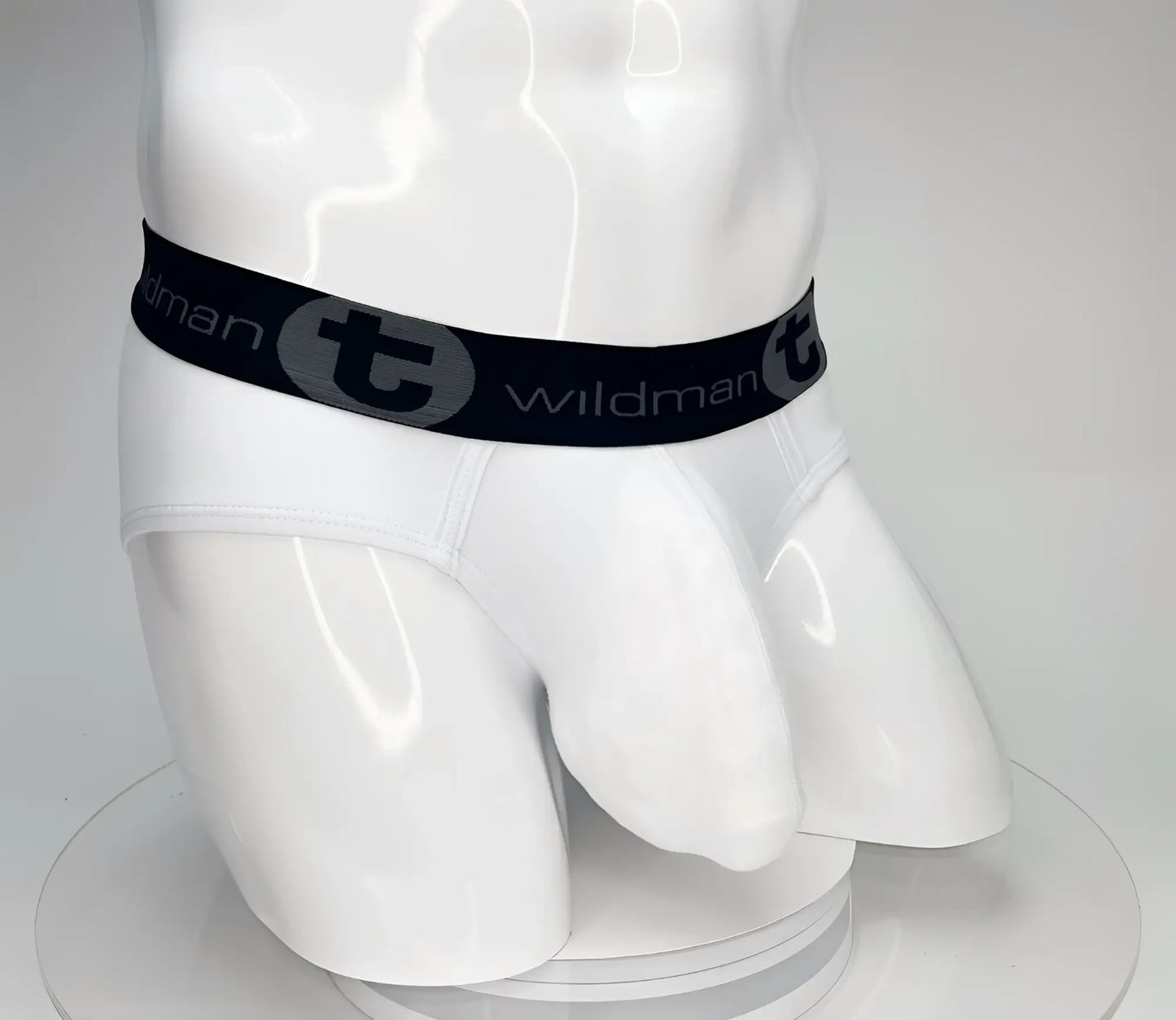 White wildman big boy pouch cotton brief with black elastic waistband featuring t logo and brand name