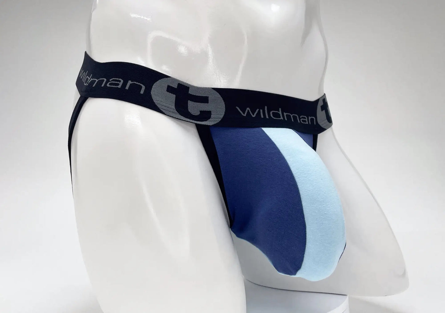 Blue and light blue striped cotton men’s briefs with black wildman logo waistband from wildmant cotton big boy pouch stripe collection