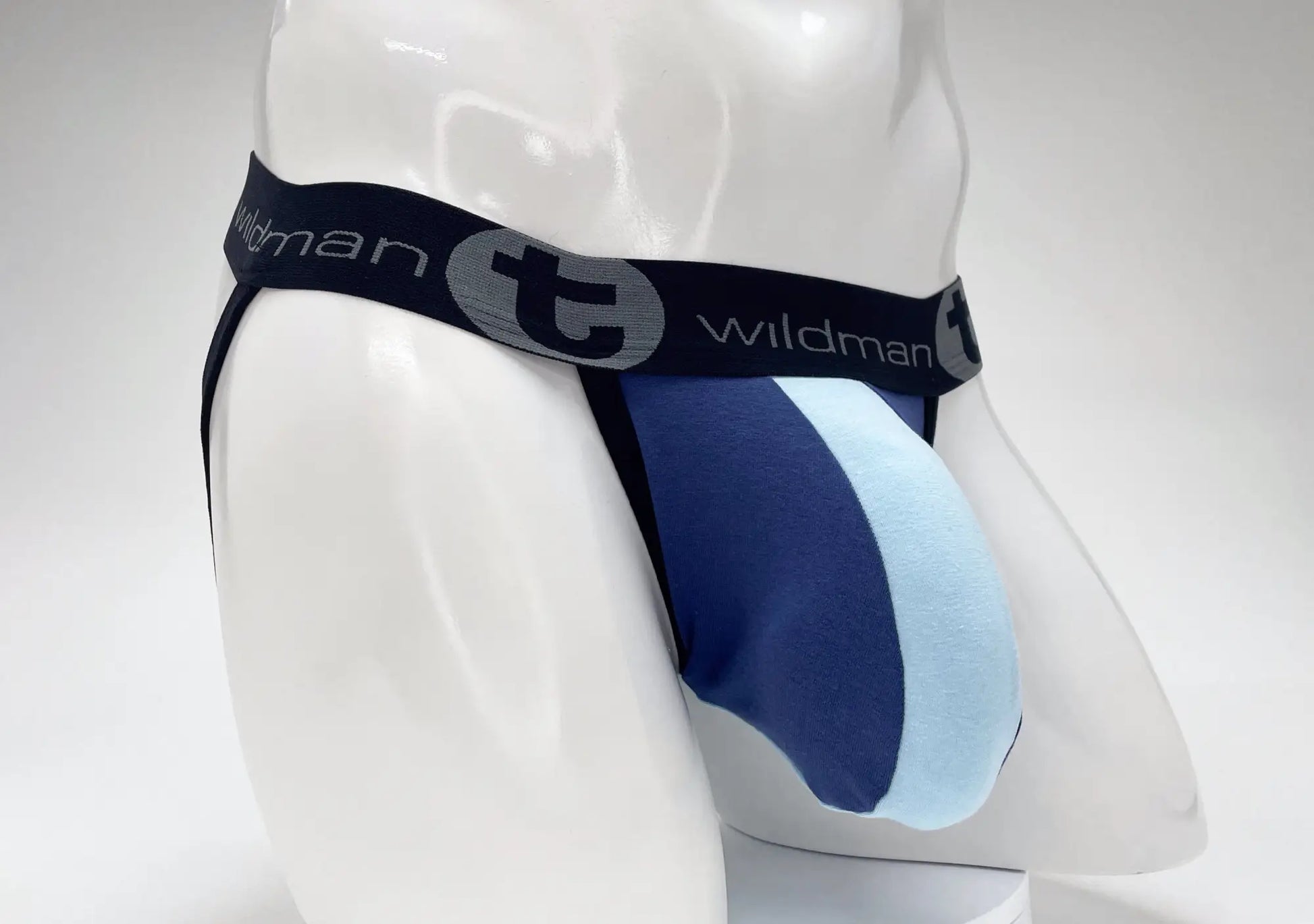 Blue and light blue striped cotton men’s briefs with black wildman logo waistband from wildmant cotton big boy pouch stripe collection