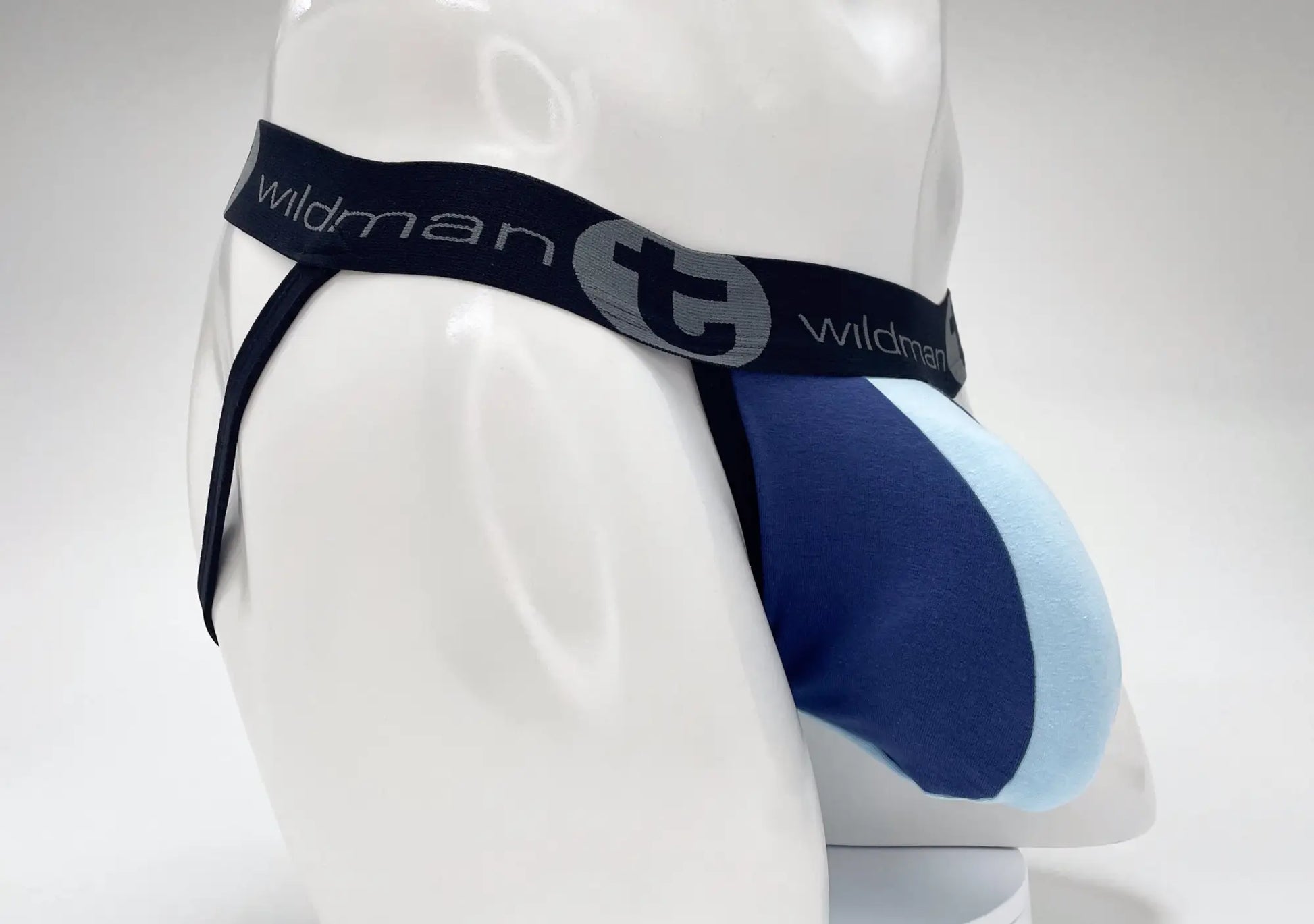 Wildmant cotton big boy pouch stripe jockstrap in royal blue and baby blue with black wildman t waistband