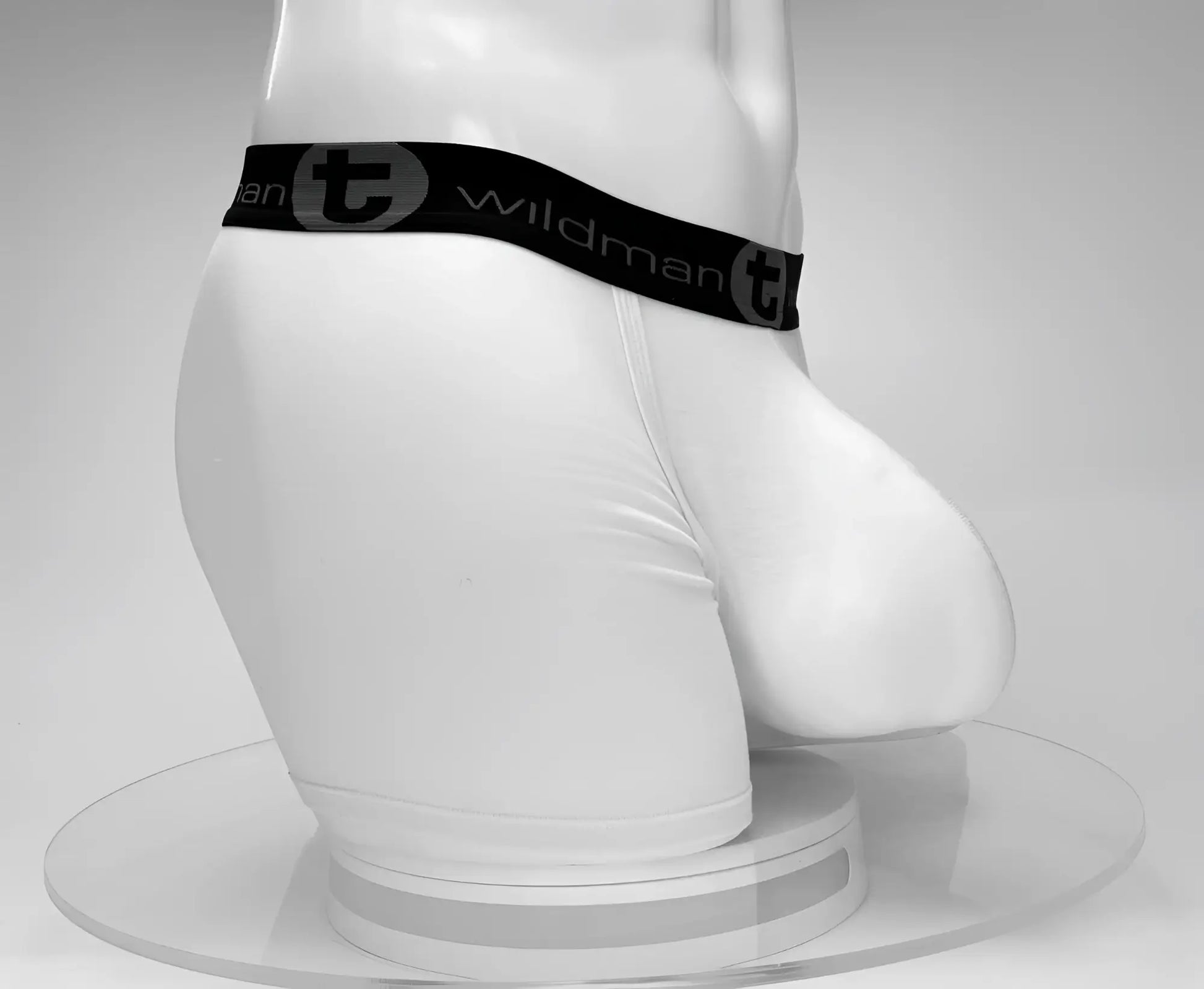 White wildman cotton boxer briefs with 5 inch inseam and black waistband featuring t logo and brand name