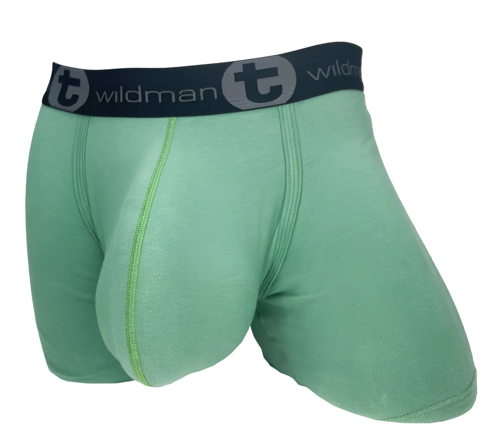 Light green cotton boxer briefs with a contoured pouch and black branded waistband.