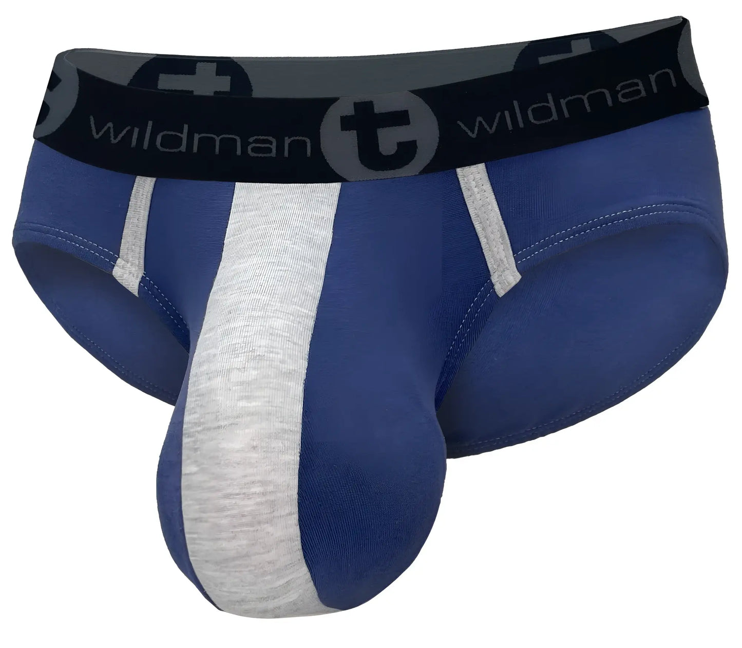 Blue and gray striped wildmanT cotton monster cock brief with black waistband featuring wildman logo