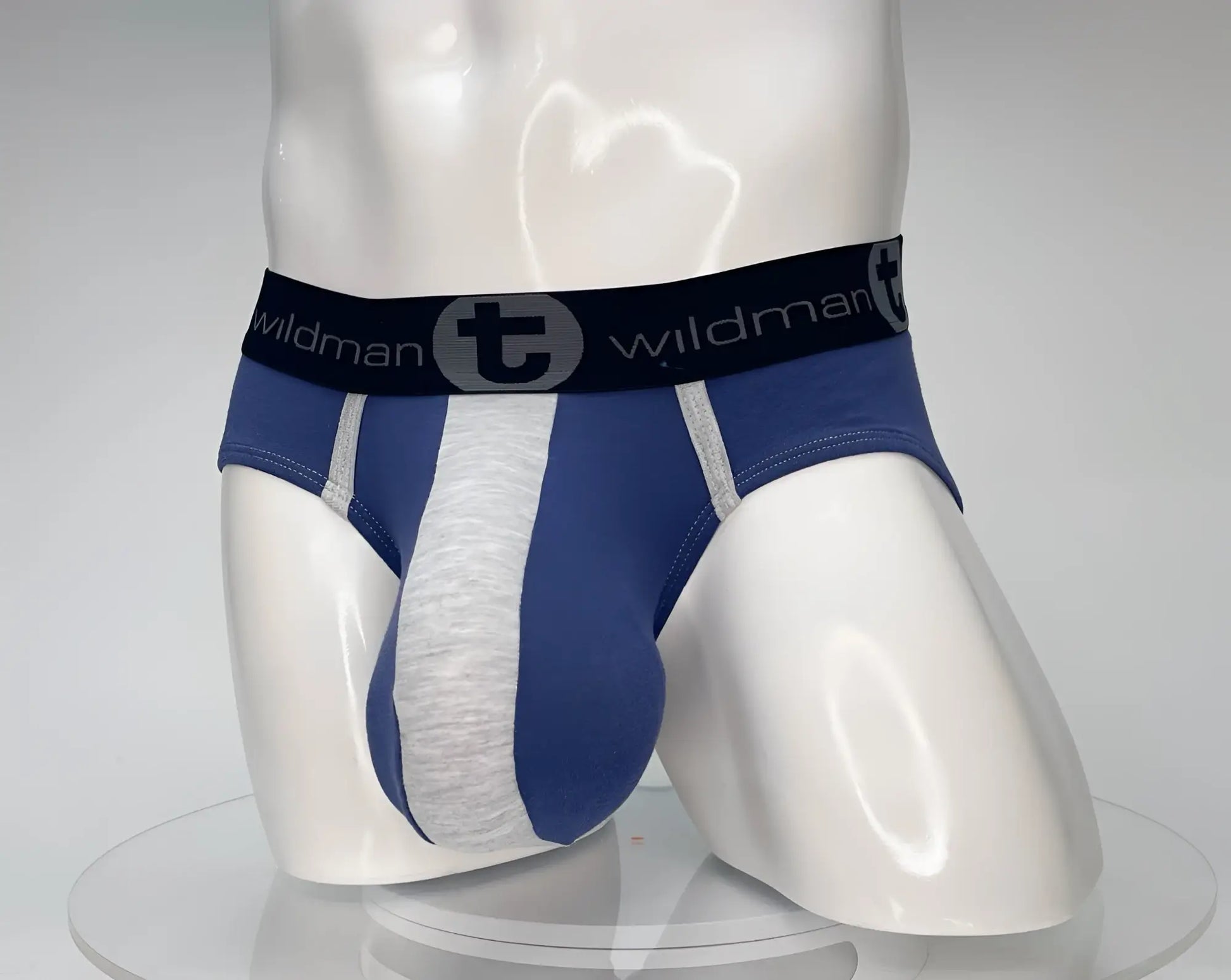 Wildmant cotton monster cock brief dark blue and gray striped men’s briefs with black wildman logo waistband