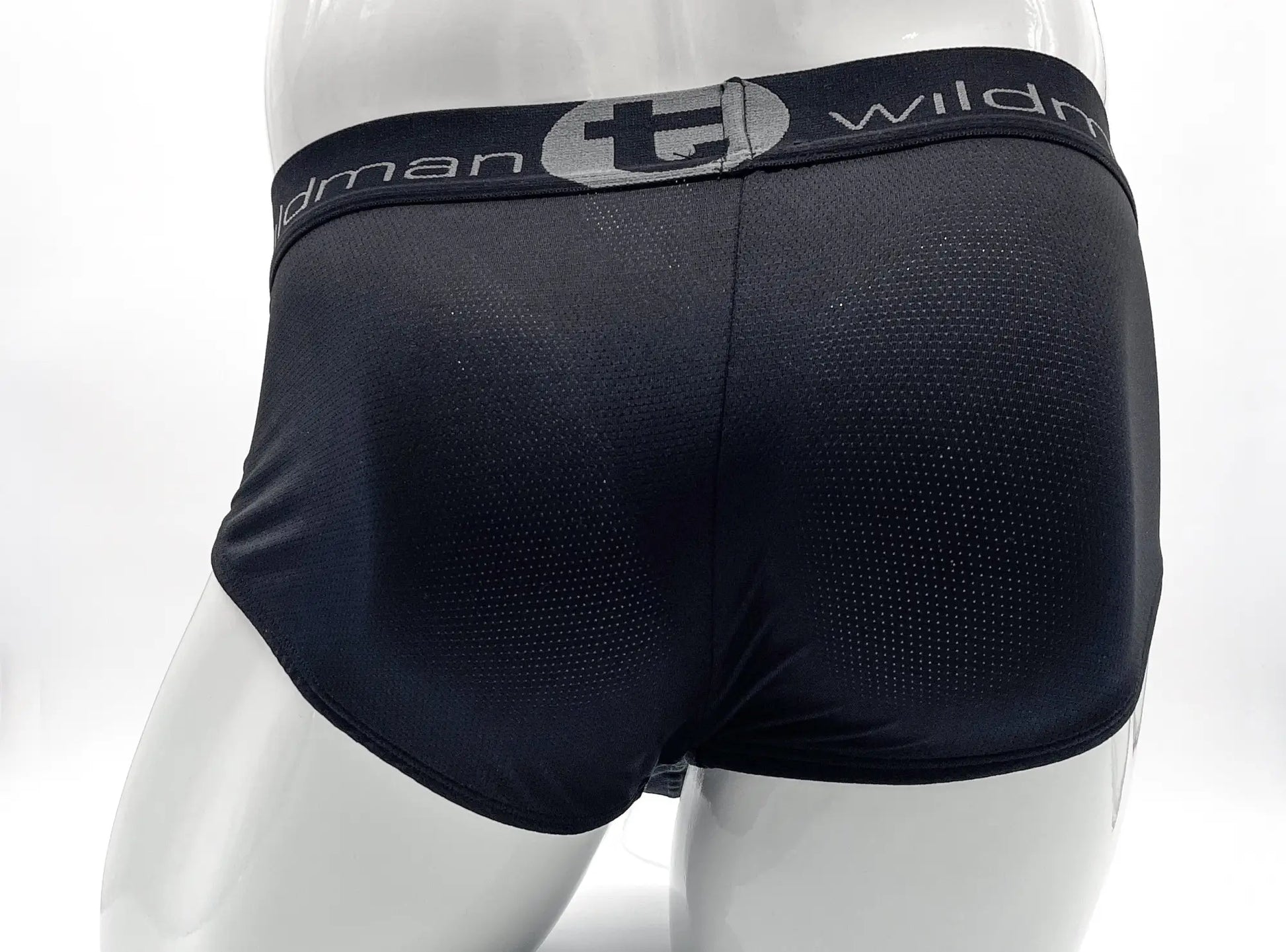 Black mesh briefs with gray elastic waistband featuring wildman logo wildmant mesh big boy pouch brief black