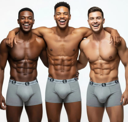 Three men smiling, wearing WildmanT modal gray boxer briefs with a logo waistband and supportive front pouch design.