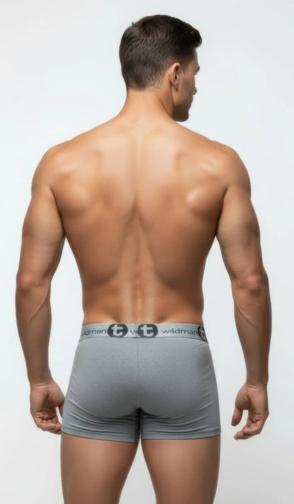 Wildmant modal big boy pouch gray boxer briefs with subtle textured fabric and black logo waistband