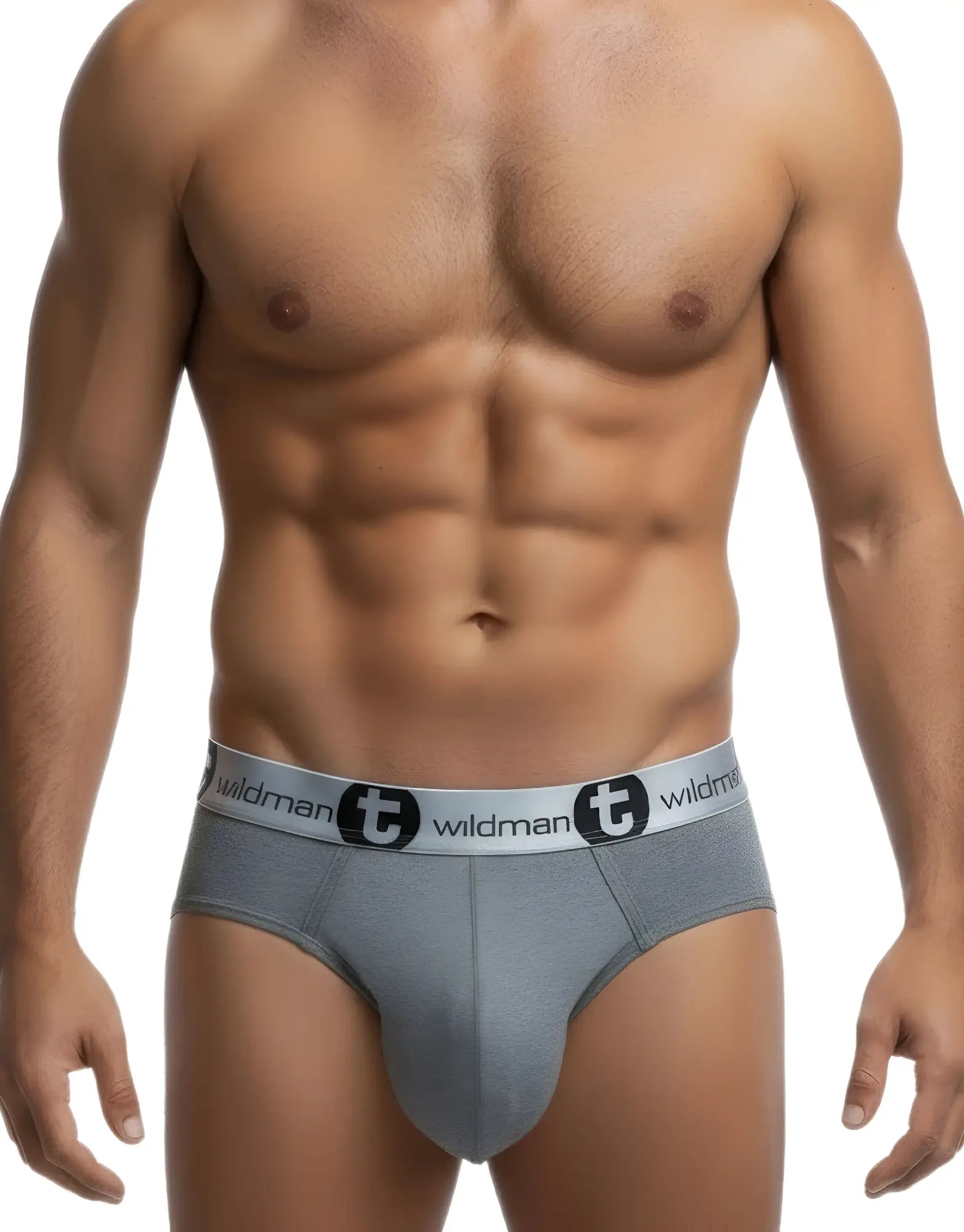 WildmanT silver gray modal big boy pouch brief with a branded silver waistband, worn on a toned male torso.