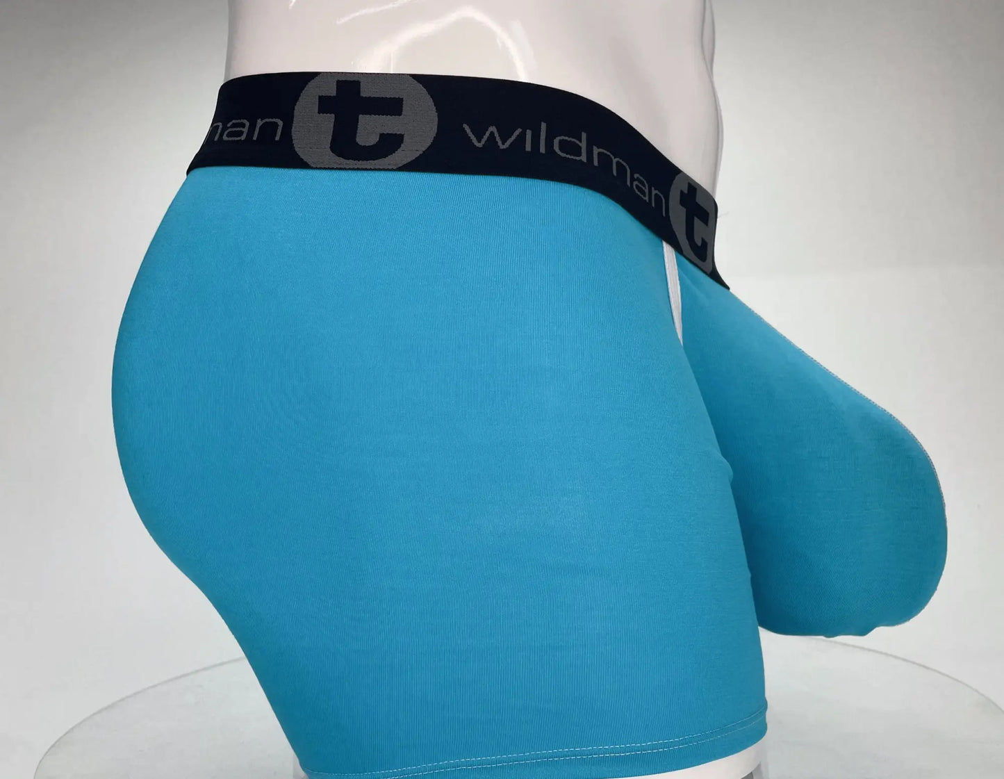 Bright blue wildmanT modal men’s briefs with black elastic waistband and 5 inch inseam boxer brief design