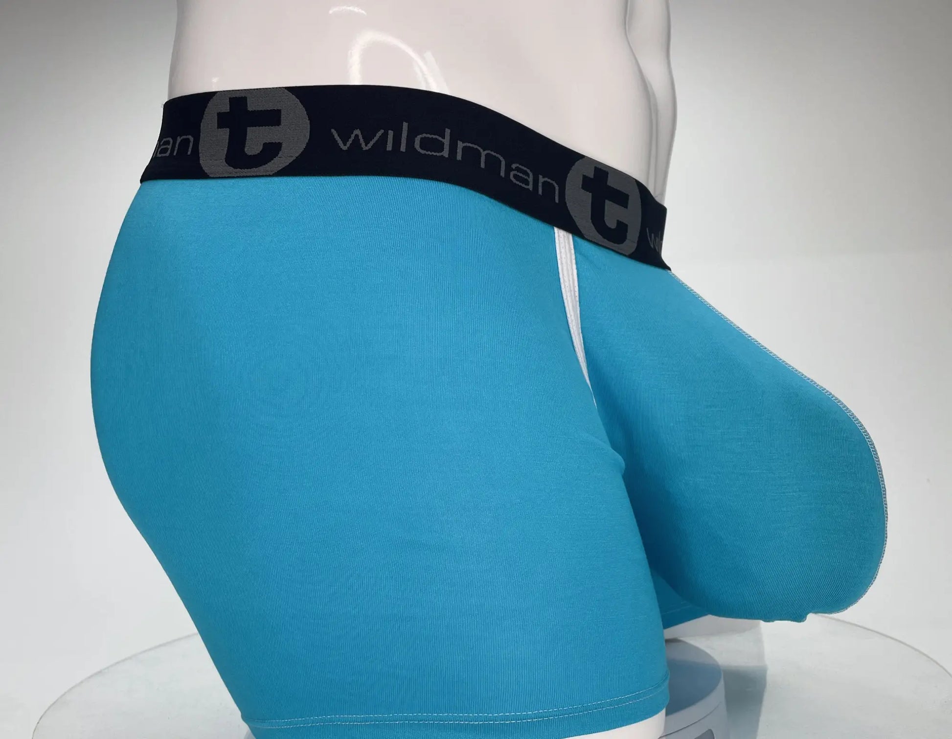Turquoise blue wildman modal monster cock 5 inch inseam boxer briefs with black waistband and gray t emblem