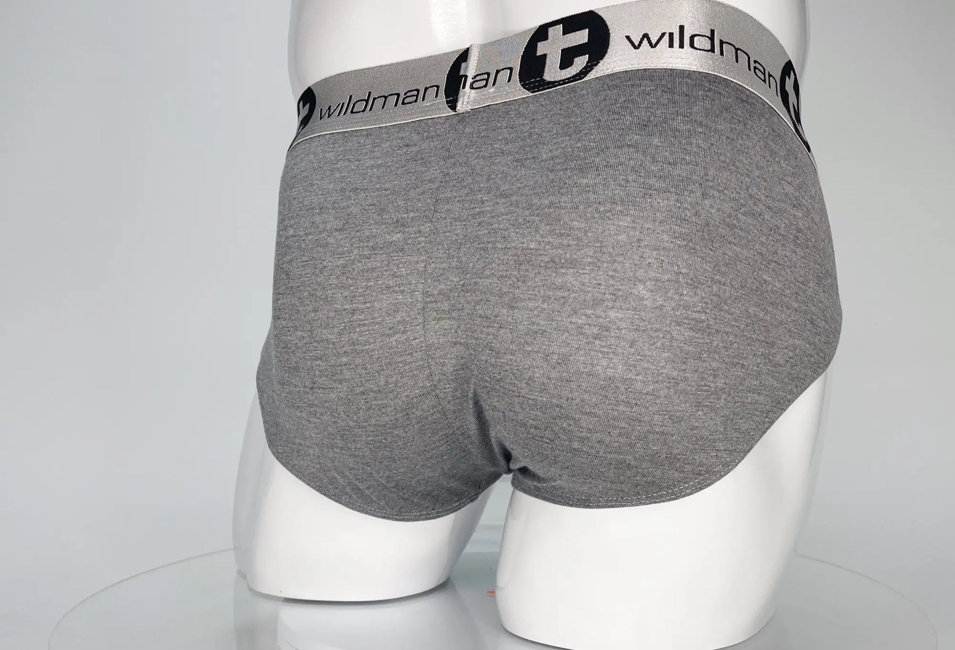 Gray heathered cotton briefs with black and white wildman waistband from WildmanT modal Monster Cock Brief Gray collection