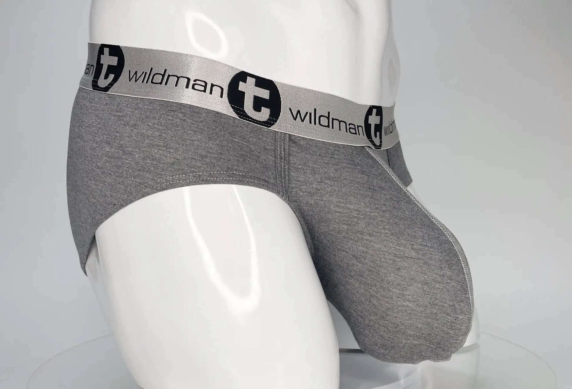 Gray heathered cotton modal briefs with silver elastic wildman waistband and black circular emblem front view