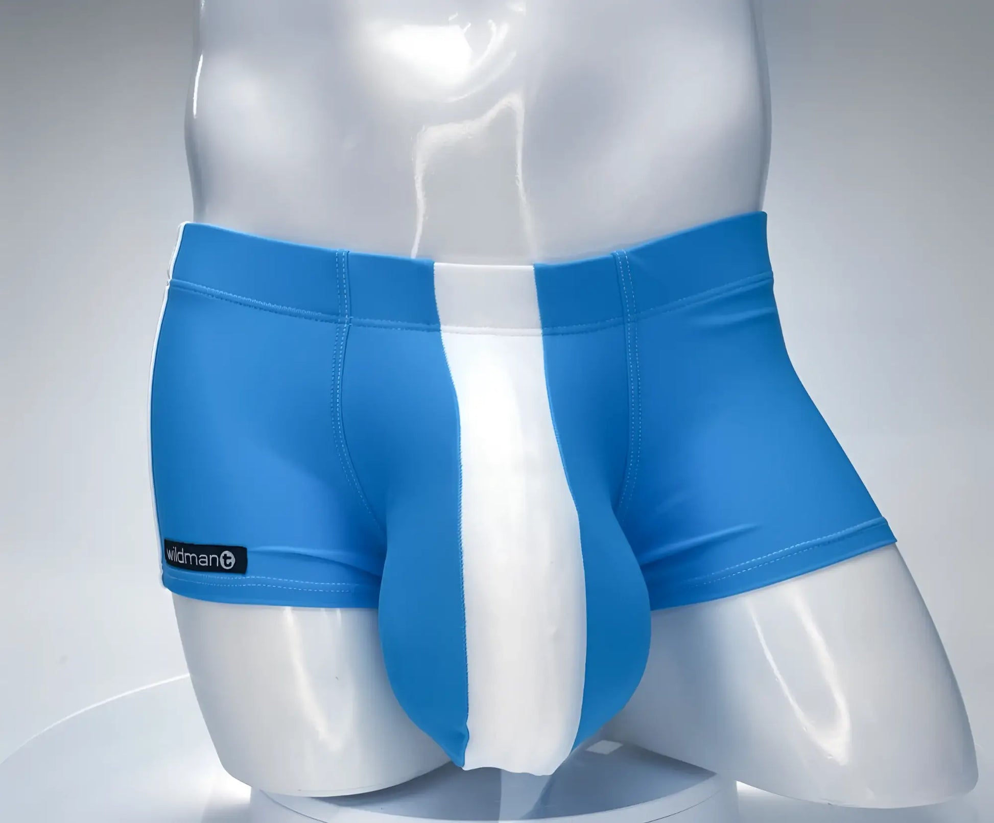 Wildmant monster cock swim square cut briefs in teal and white with a central vertical stripe and widman logo on left leg