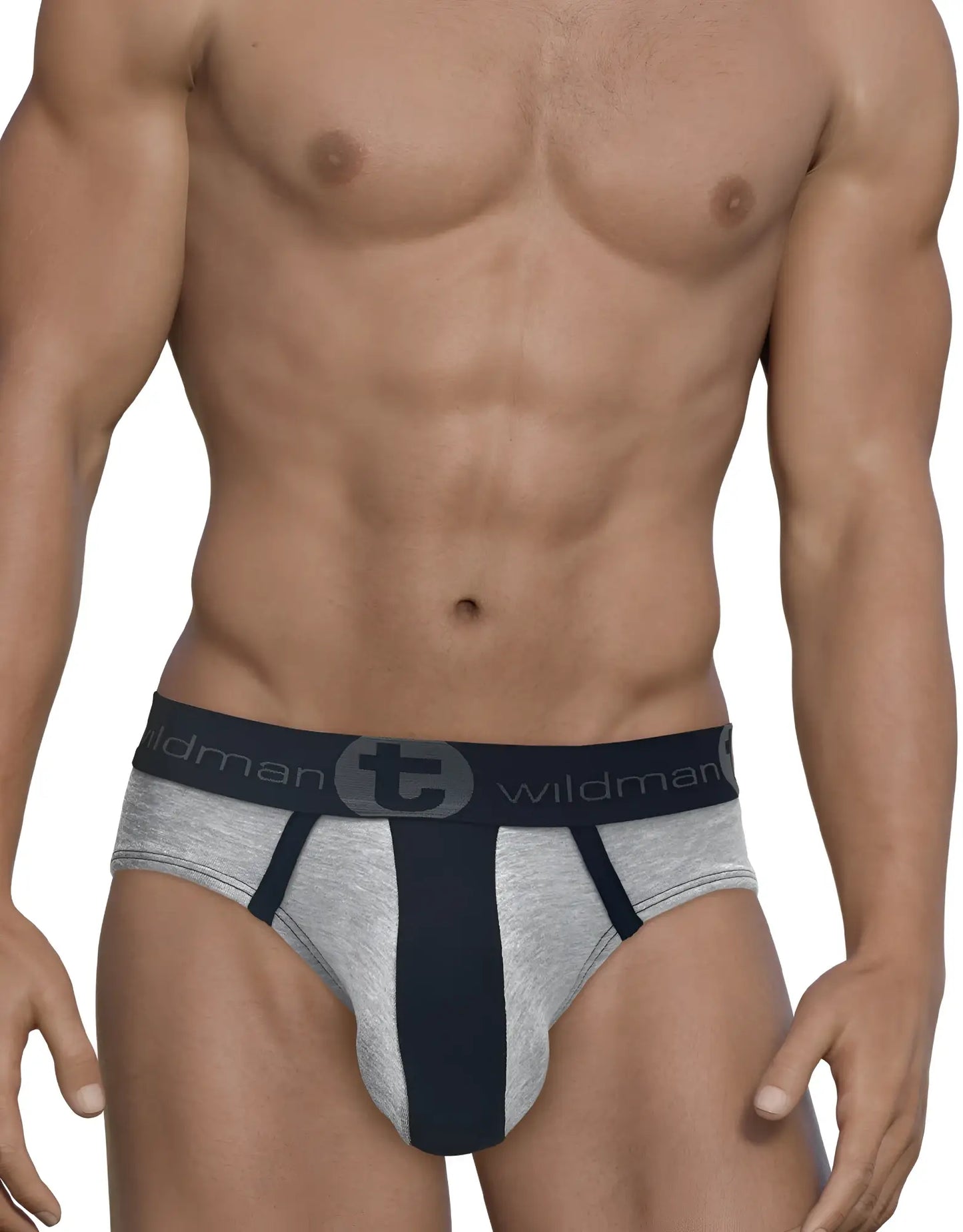 Wildmant stretch cotton big boy pouch brief in gray and black with branded waistband and athletic fit