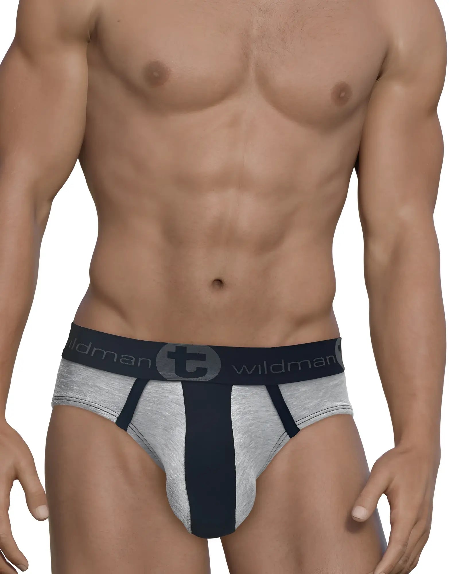 Wildmant stretch cotton big boy pouch brief in gray and black with branded waistband and athletic fit