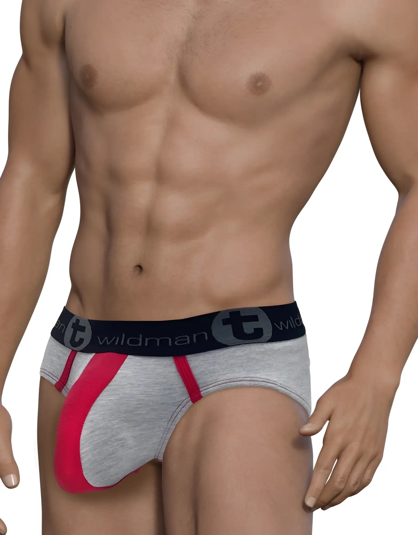 WildmanT stretch cotton big boy pouch brief in gray and red with black waistband and wildman logo