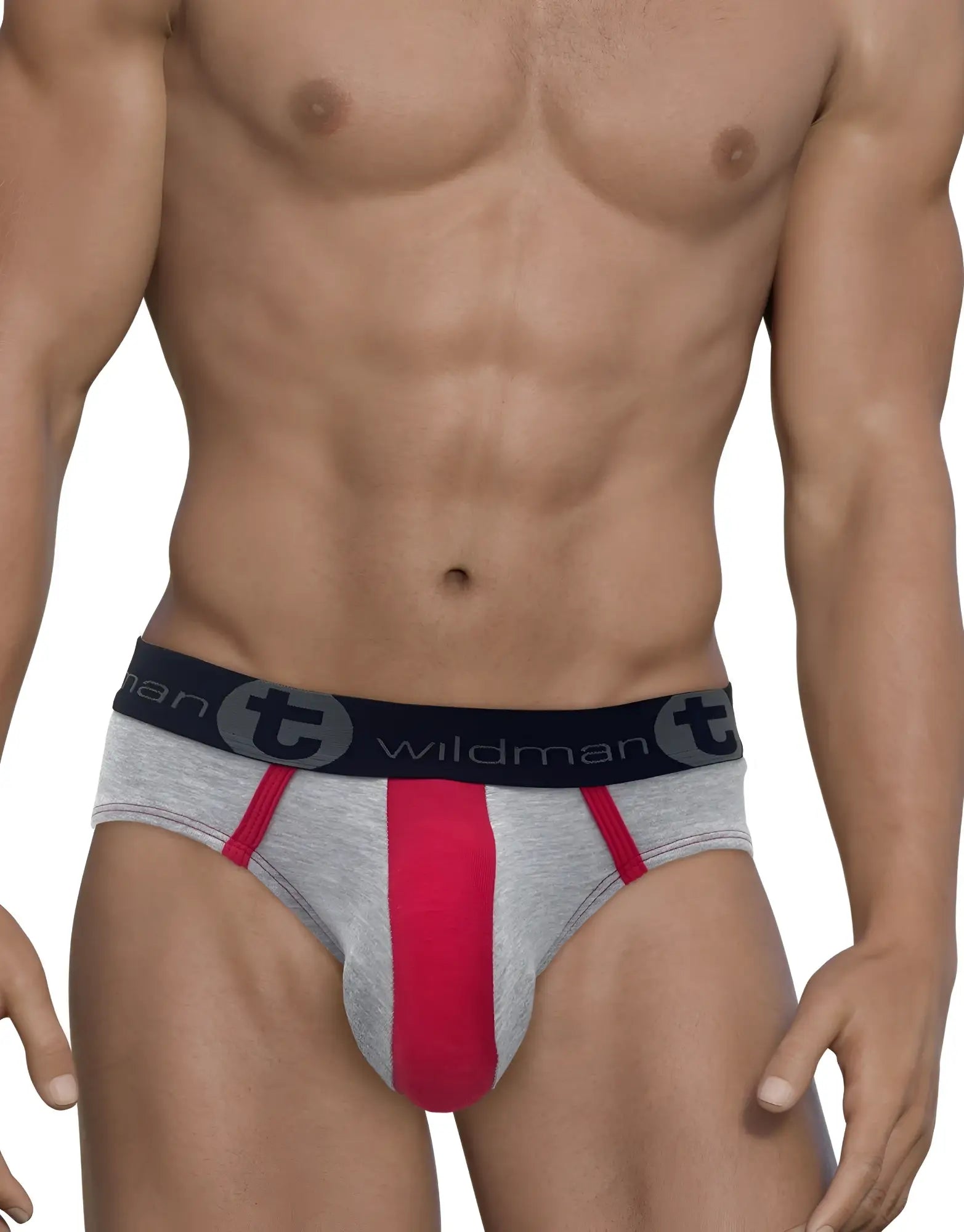WildmanT stretch cotton big boy pouch brief in gray and red with black waistband featuring wildman logo