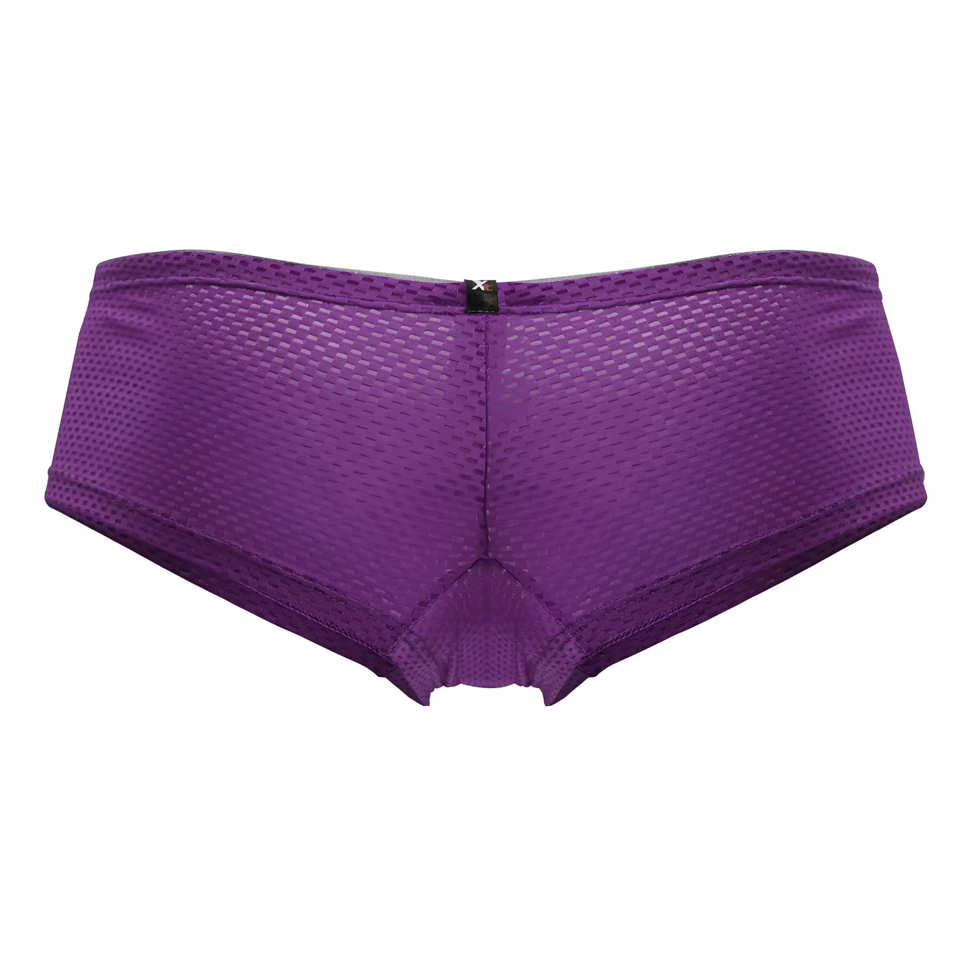 Back view of purple xtremen 91228 microfiber mesh briefs with subtle texture and small black logo center back