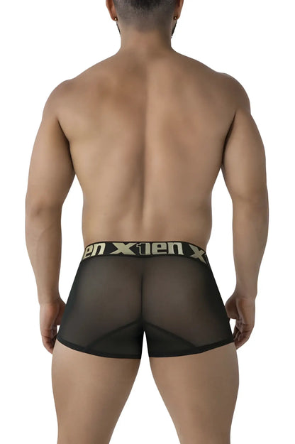 Black sheer mesh briefs with gold x1en logo waistband microfiber trunks in black xtremen 91237 model