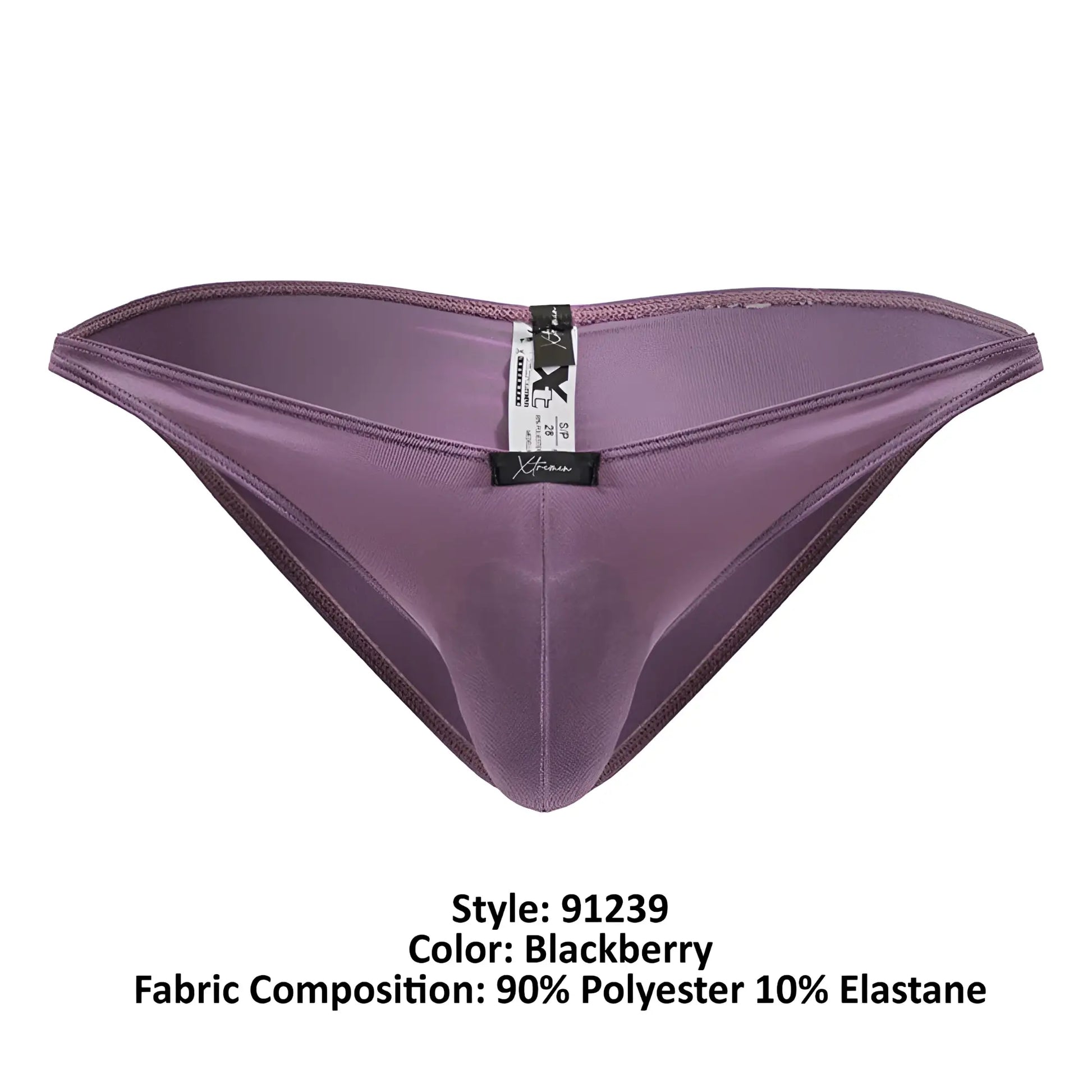 Purple satin-like microfiber briefs for men with a sleek design and black brand tag in blackberry color by Xtremen