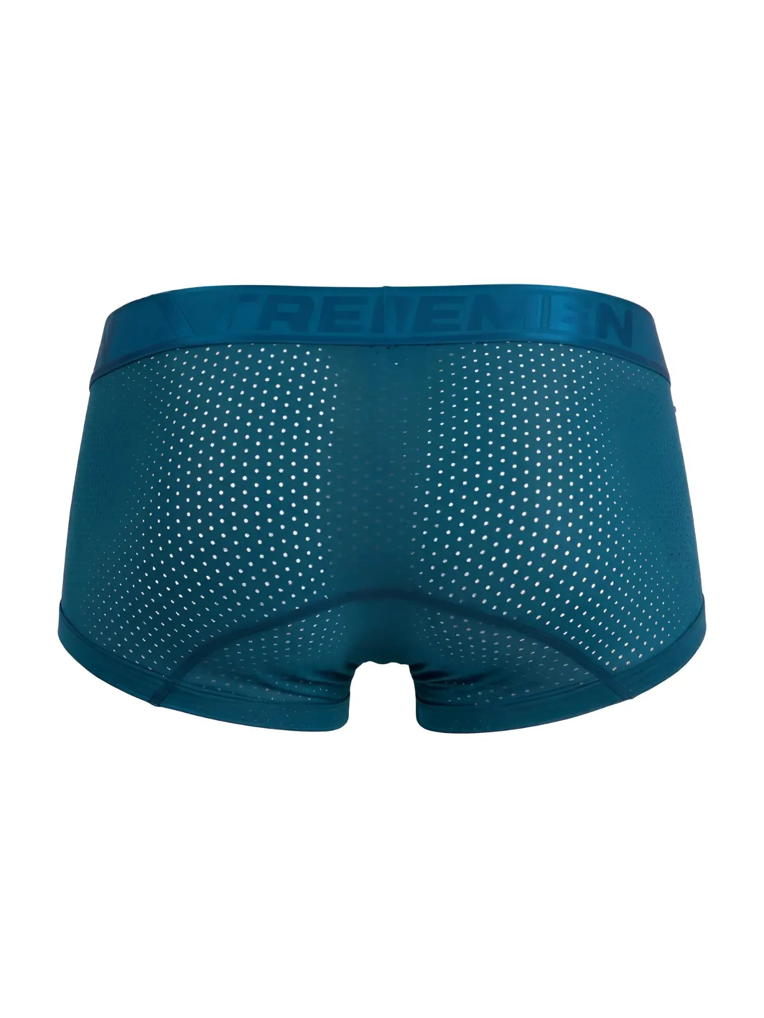 Teal breathable mesh briefs with solid treemen elastic waistband in petrol microfiber mesh trunks xtremen 91252 model