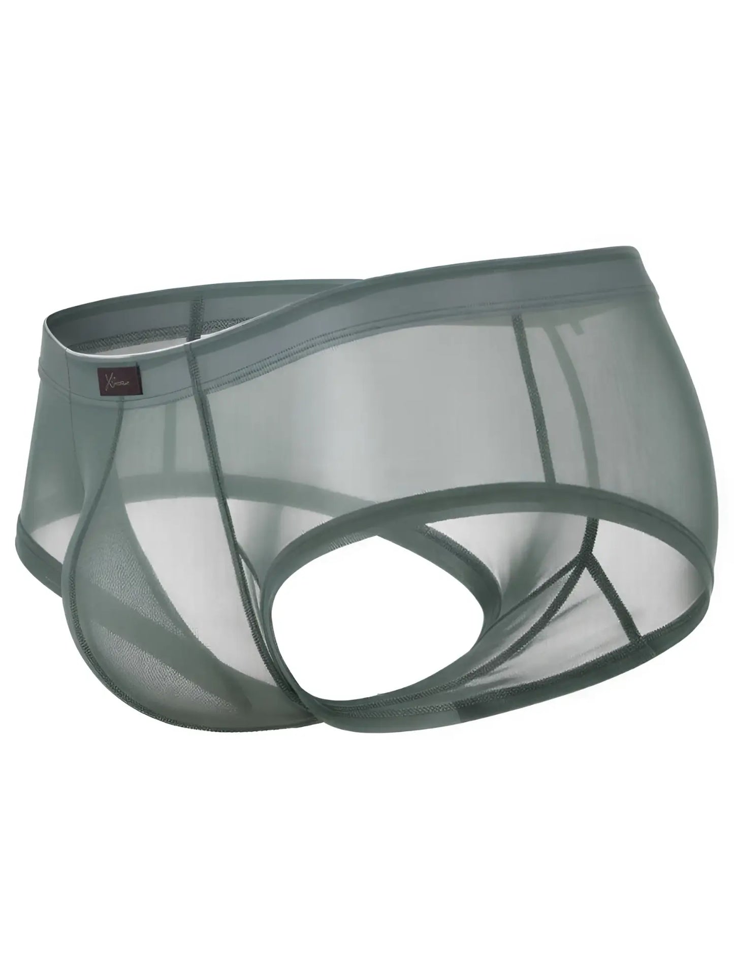 Xtremen sage green sheer mesh bikini brief with a contoured fit and branded logo tab.