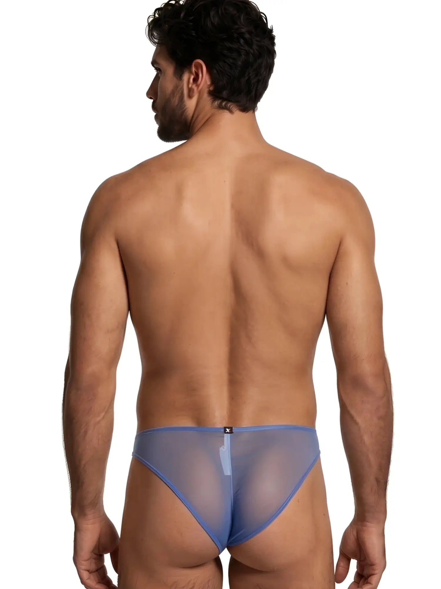 Xtremen blue sheer mesh bikini brief on a male model, seen from behind.