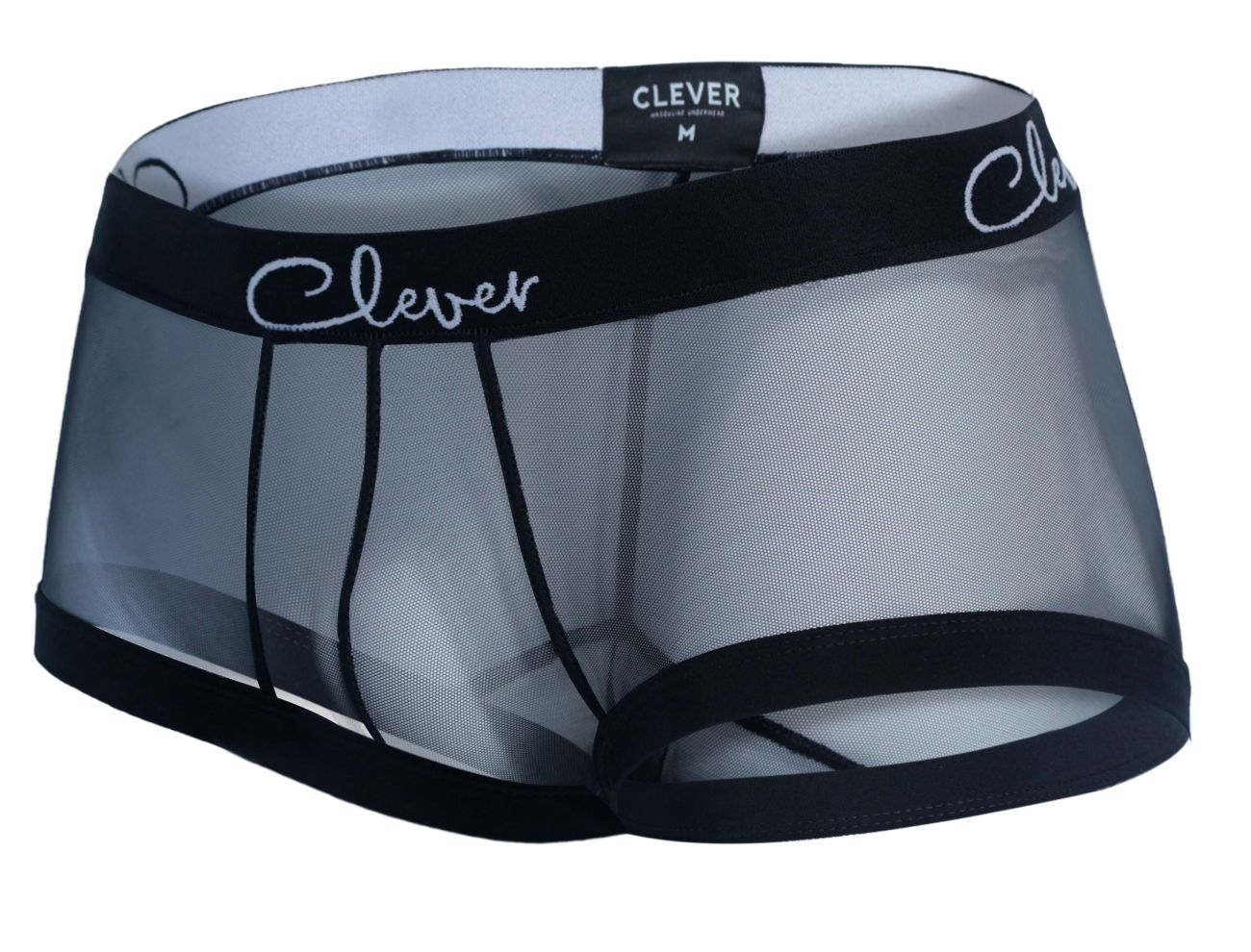 Black mesh men’s underwear with solid black waistband and leg openings featuring clever brand name cursive script