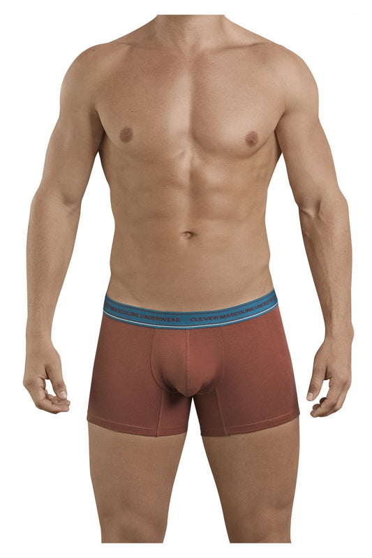 Boxer attrayant Clever 2394 Couleur Marron