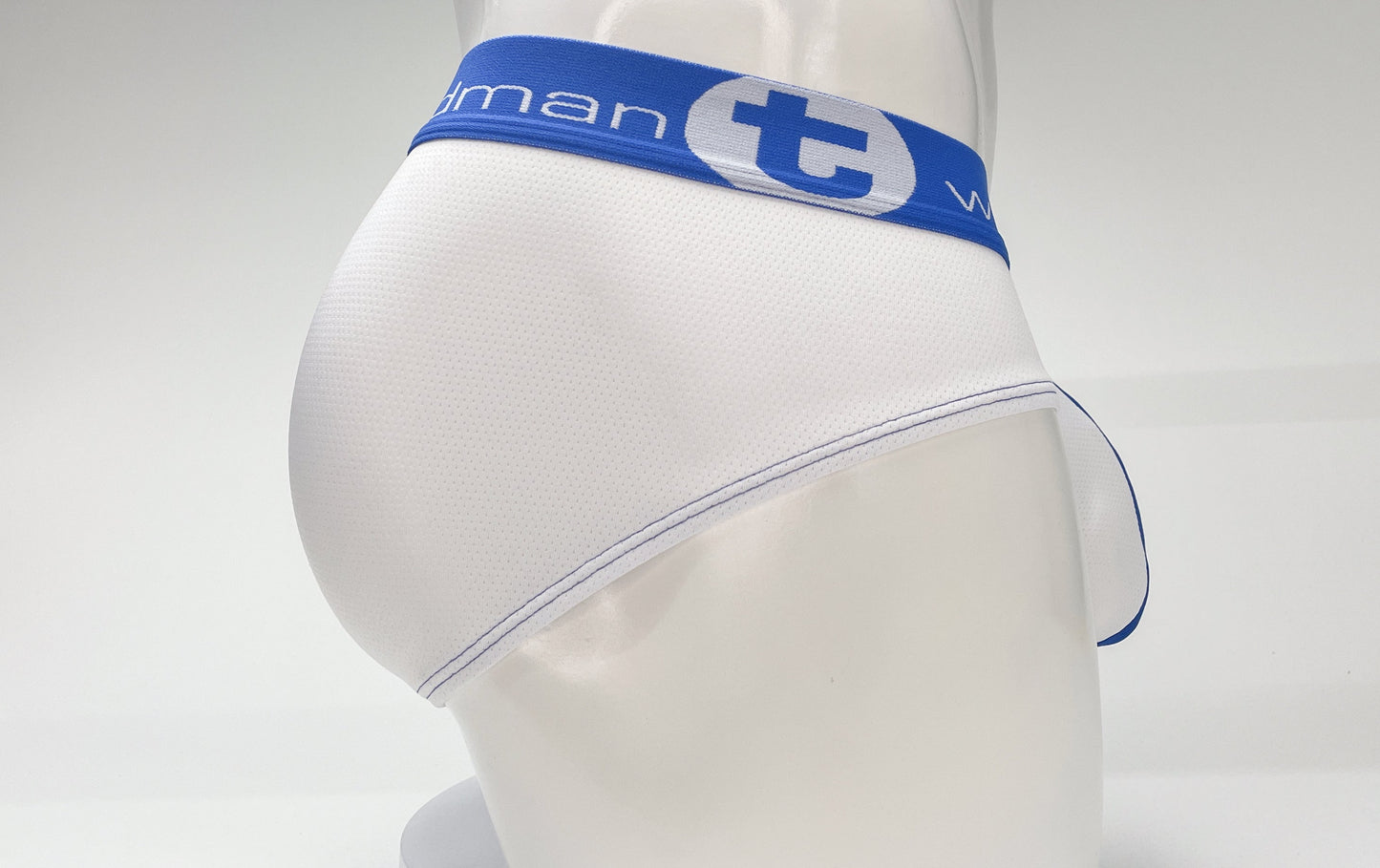 WildmanT Mesh Big Boy Pouch Brief with Stripe White and Blue - SeductiveUtopia.net