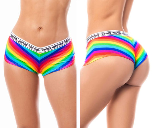 Mapale 122C rainbow cheeky short briefs with rainbow stripes and a white elastic waistband featuring they them text